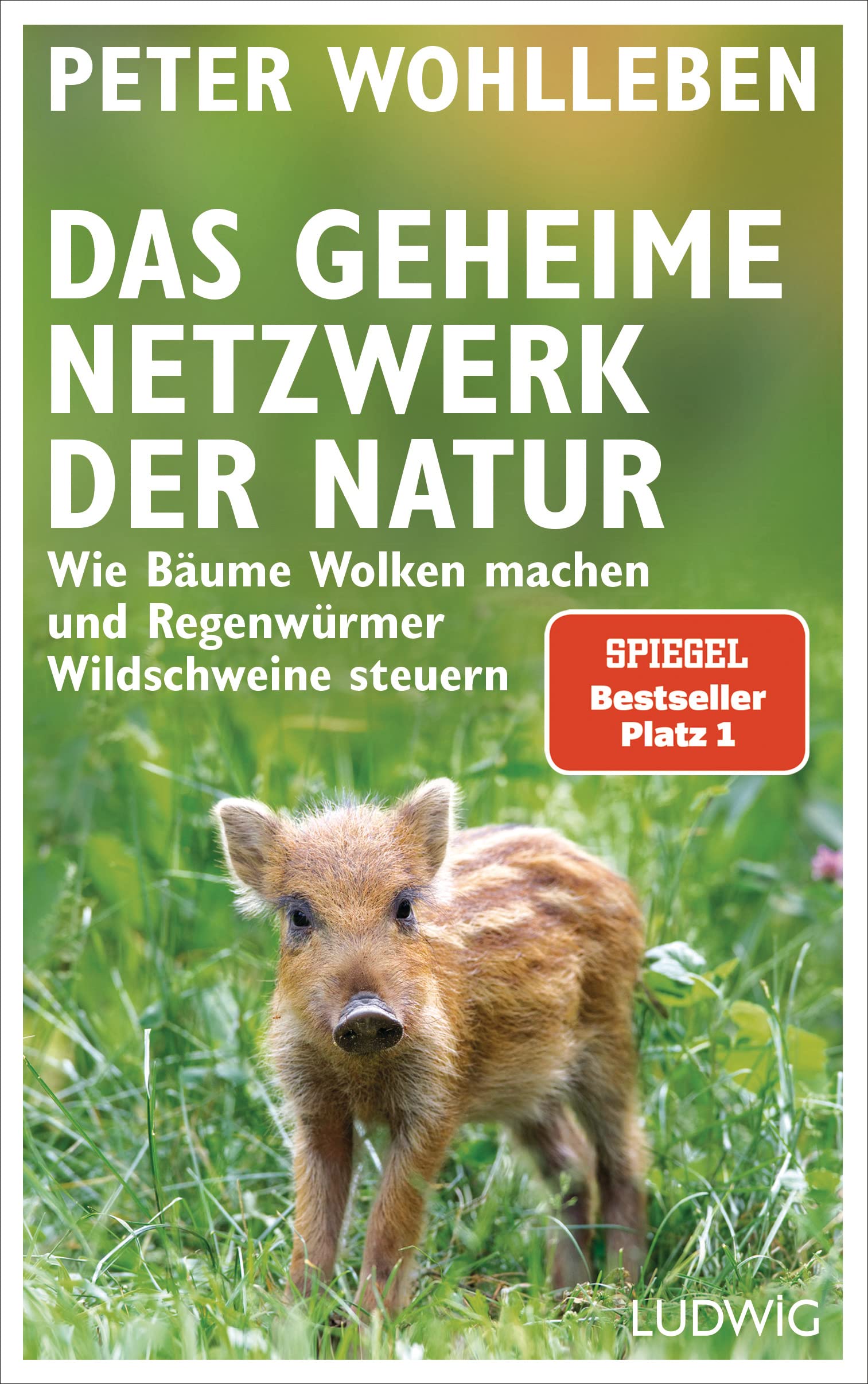 Das geheime Netzwerk der Natur Leisure, Home & Garden