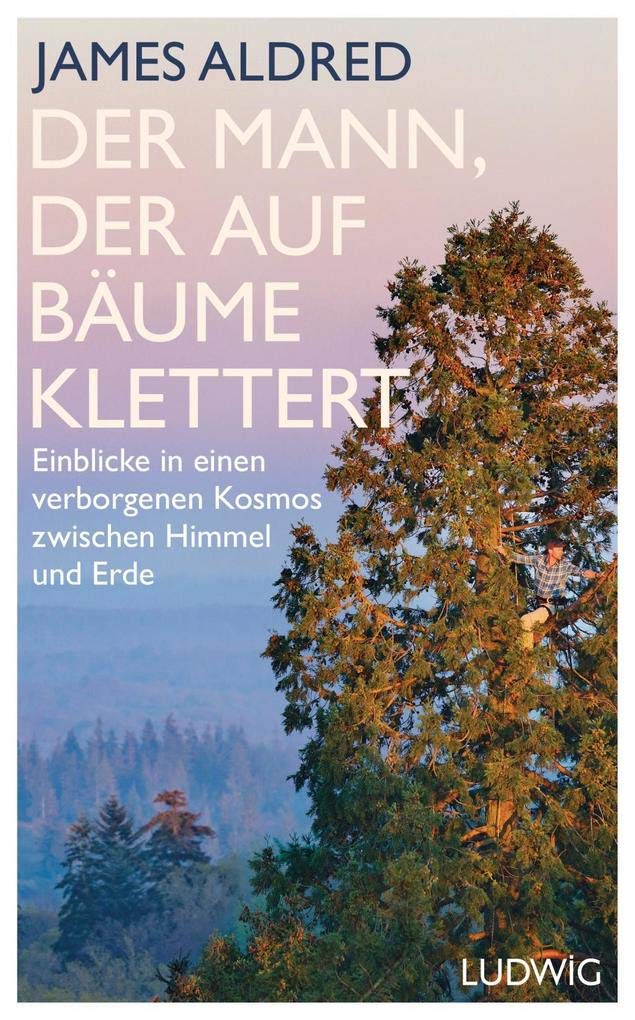 Der Mann, der auf Bäume klettert Politics & Society