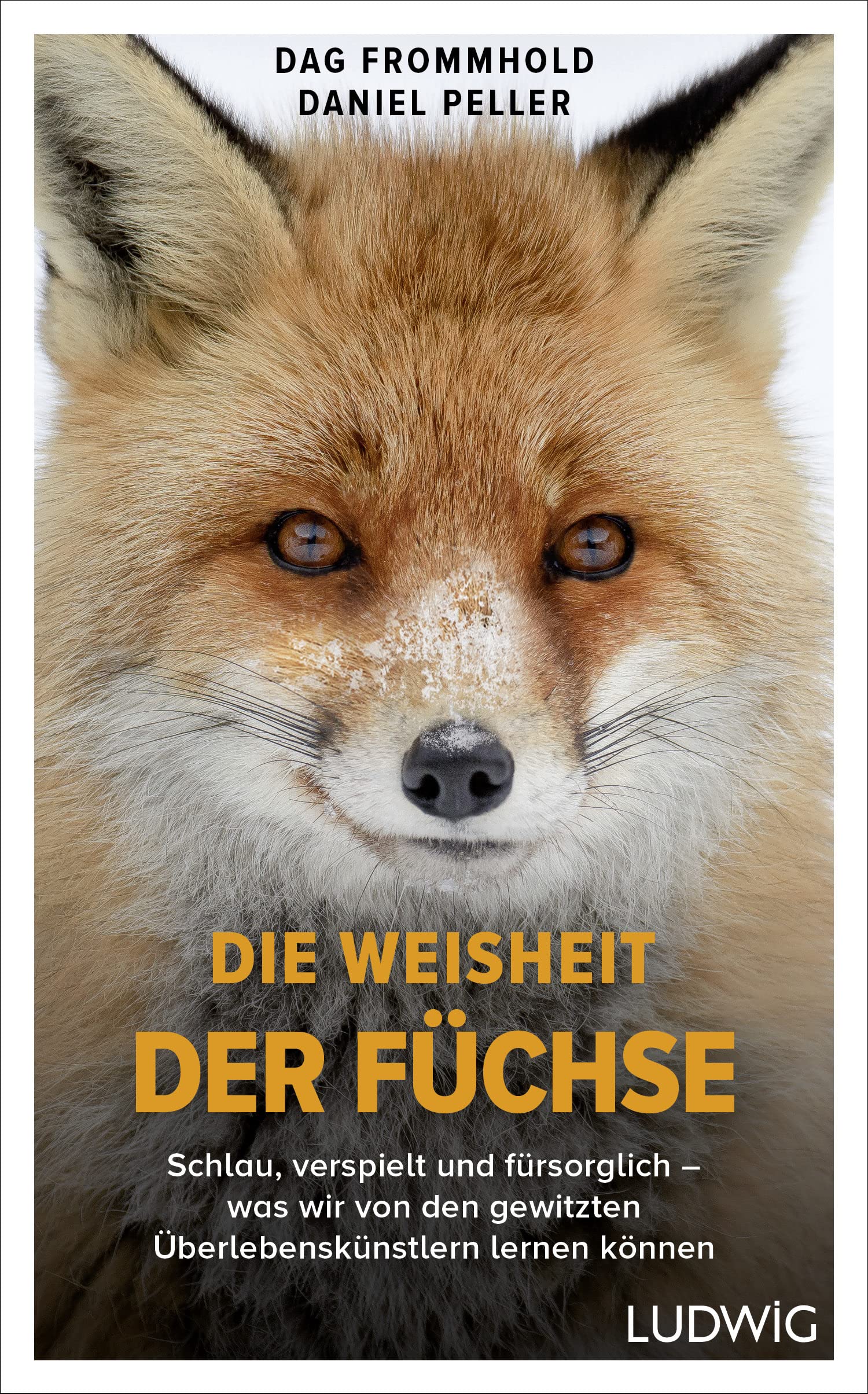 Die Weisheit der Füchse Mathematics