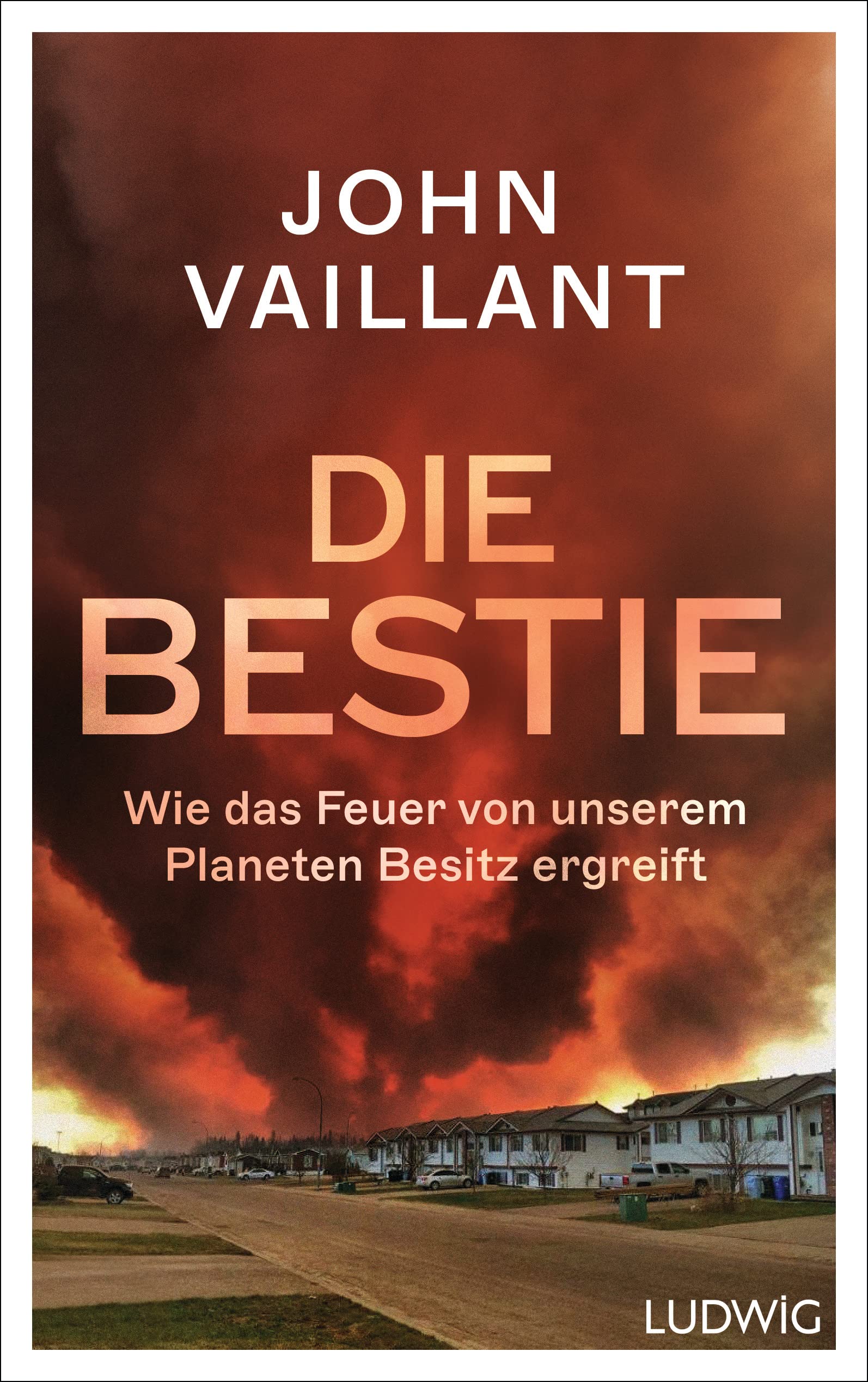 Product Image: Die Bestie