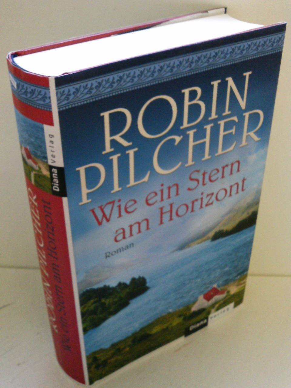 Product Image: Wie ein Stern am Horizont: Roman