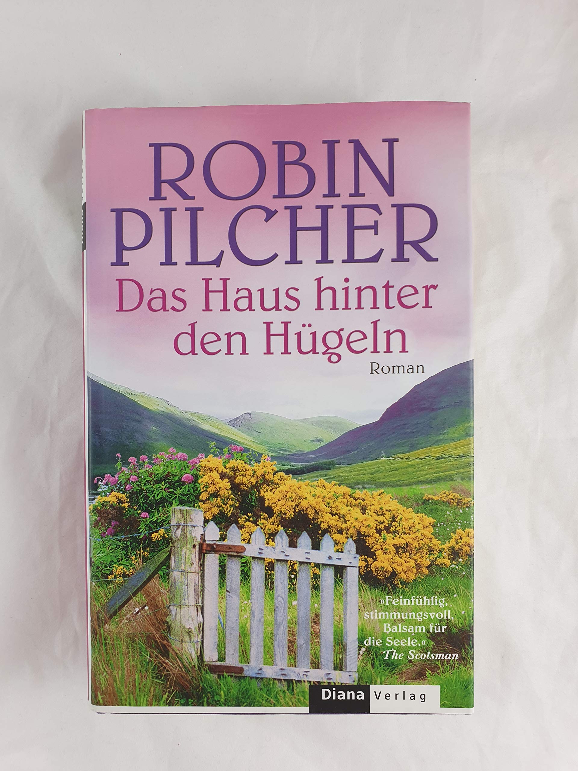 Das Haus hinter den Hügeln: Roman Contemporary literature