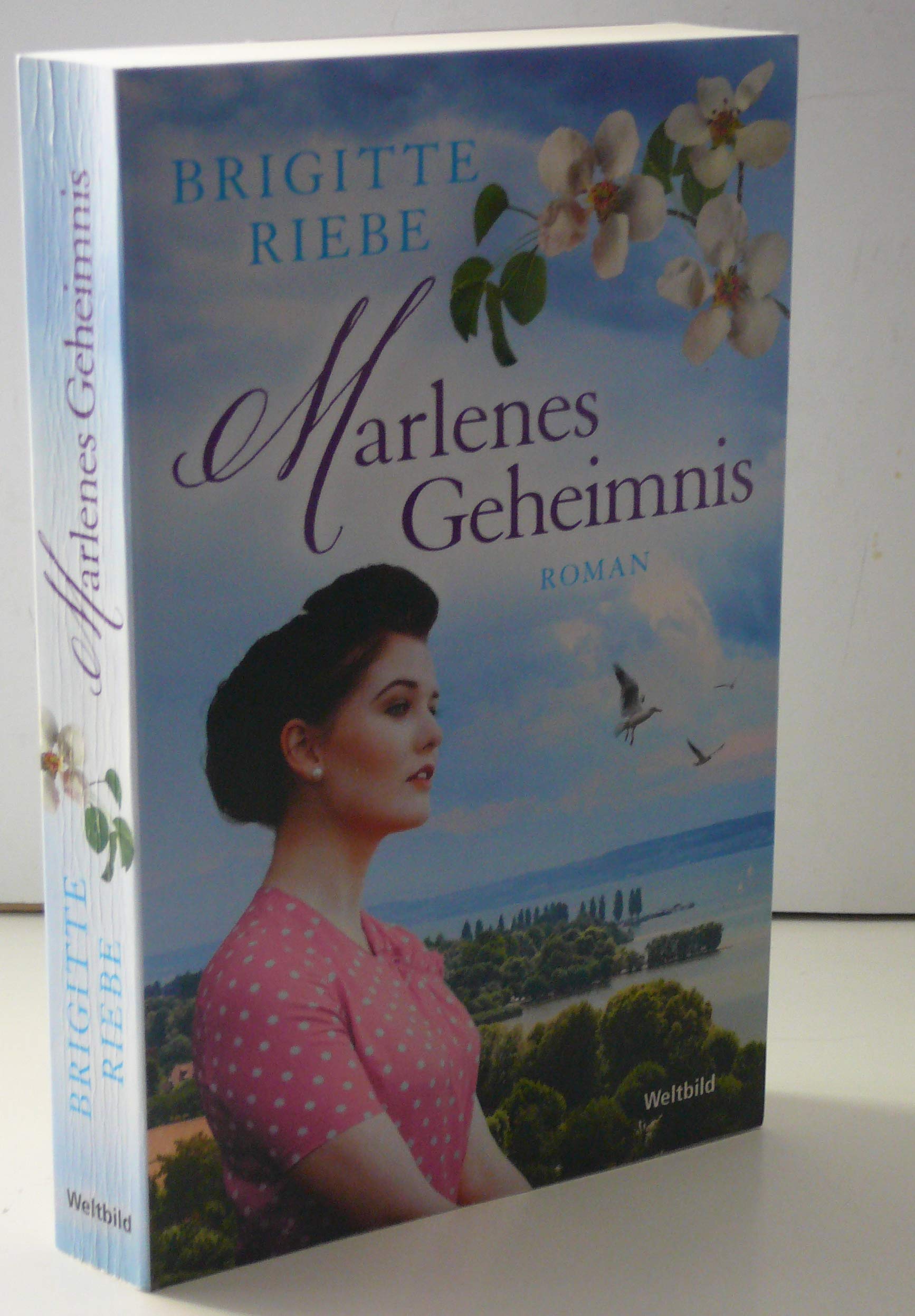 Marlenes Geheimnis Contemporary literature Books