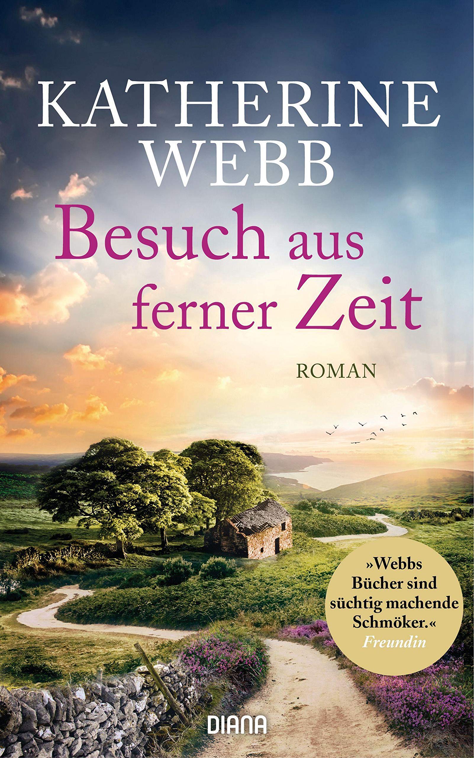 Besuch aus ferner Zeit Historical Fiction