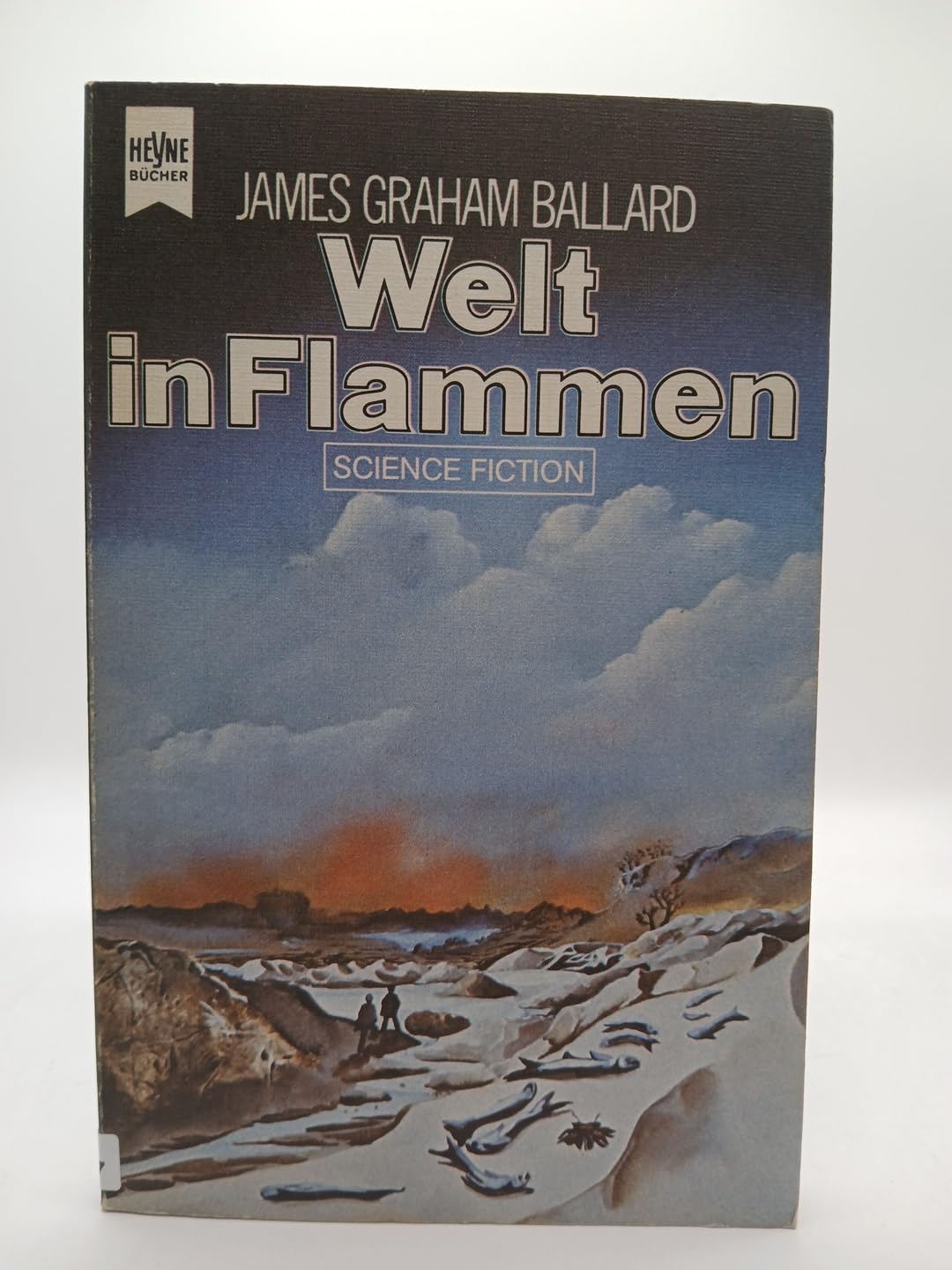 Welt in Flammen Books