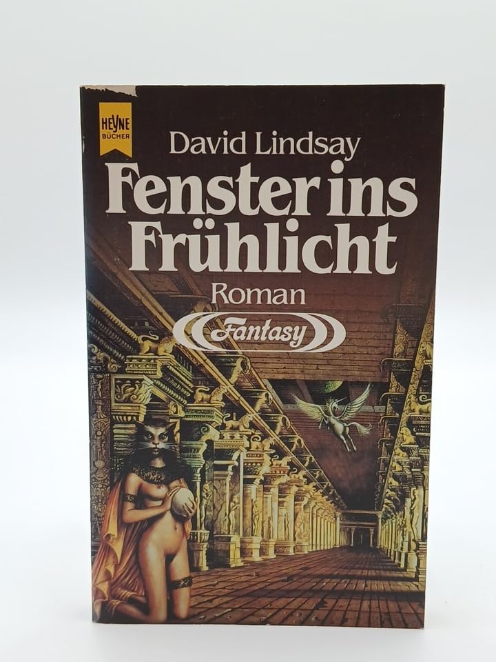 Fenster ins Frühlicht. Fantasy Roman. Books