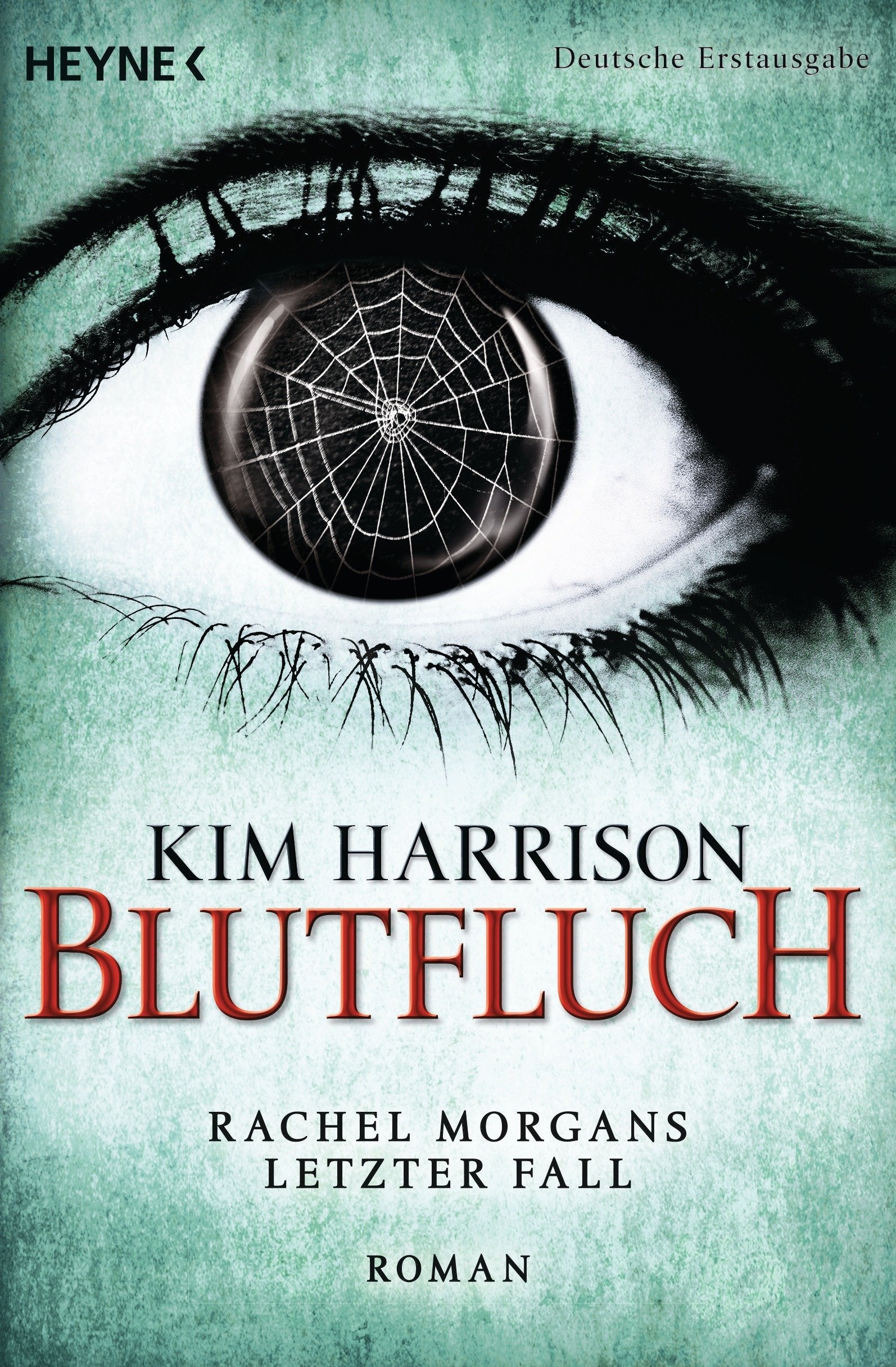 Blutfluch Contemporary literature Books