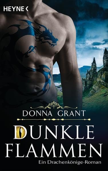 Dunkle Flammen Contemporary literature Books