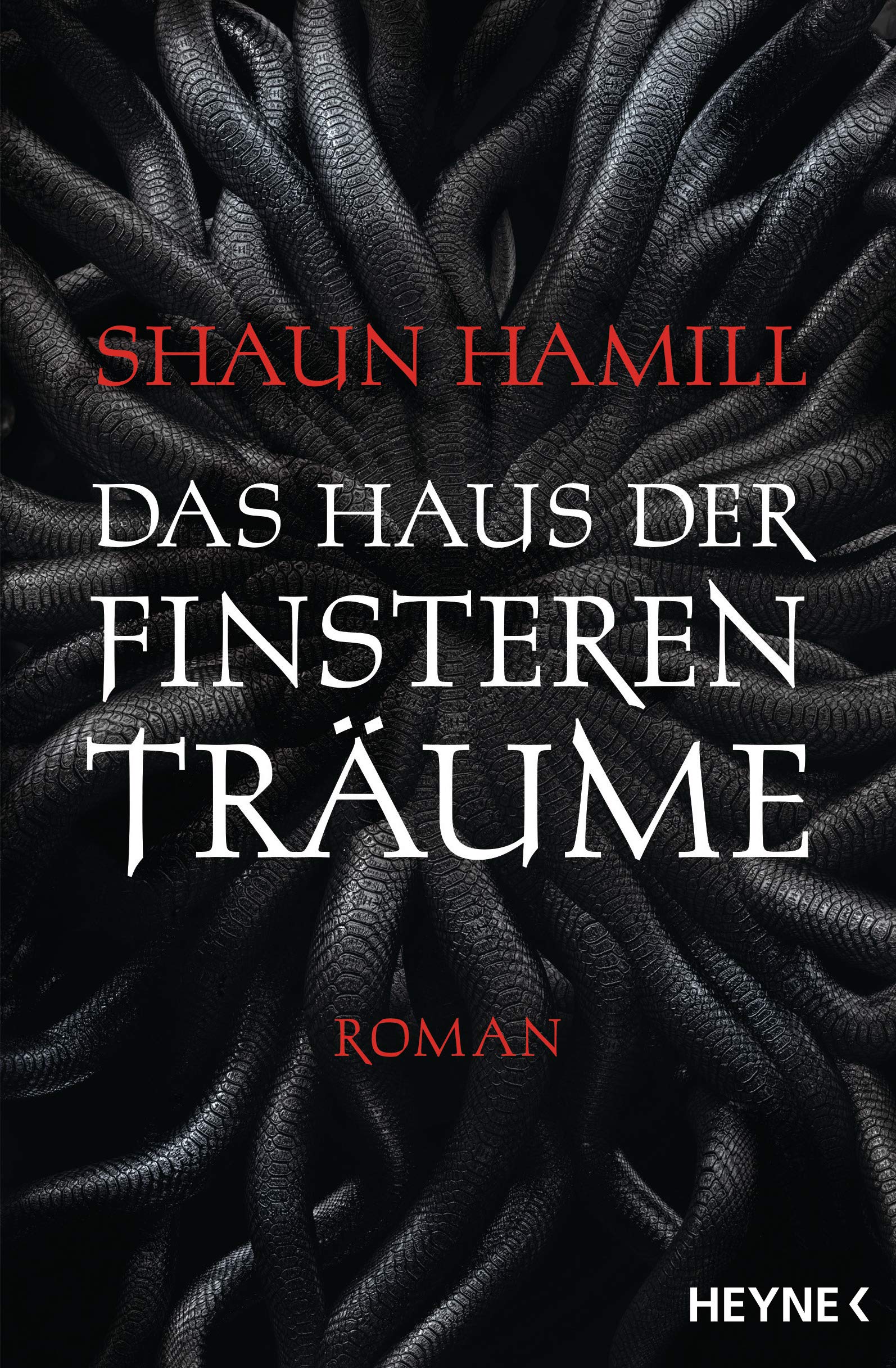 Das Haus der finsteren Träume Horror & Mystery
