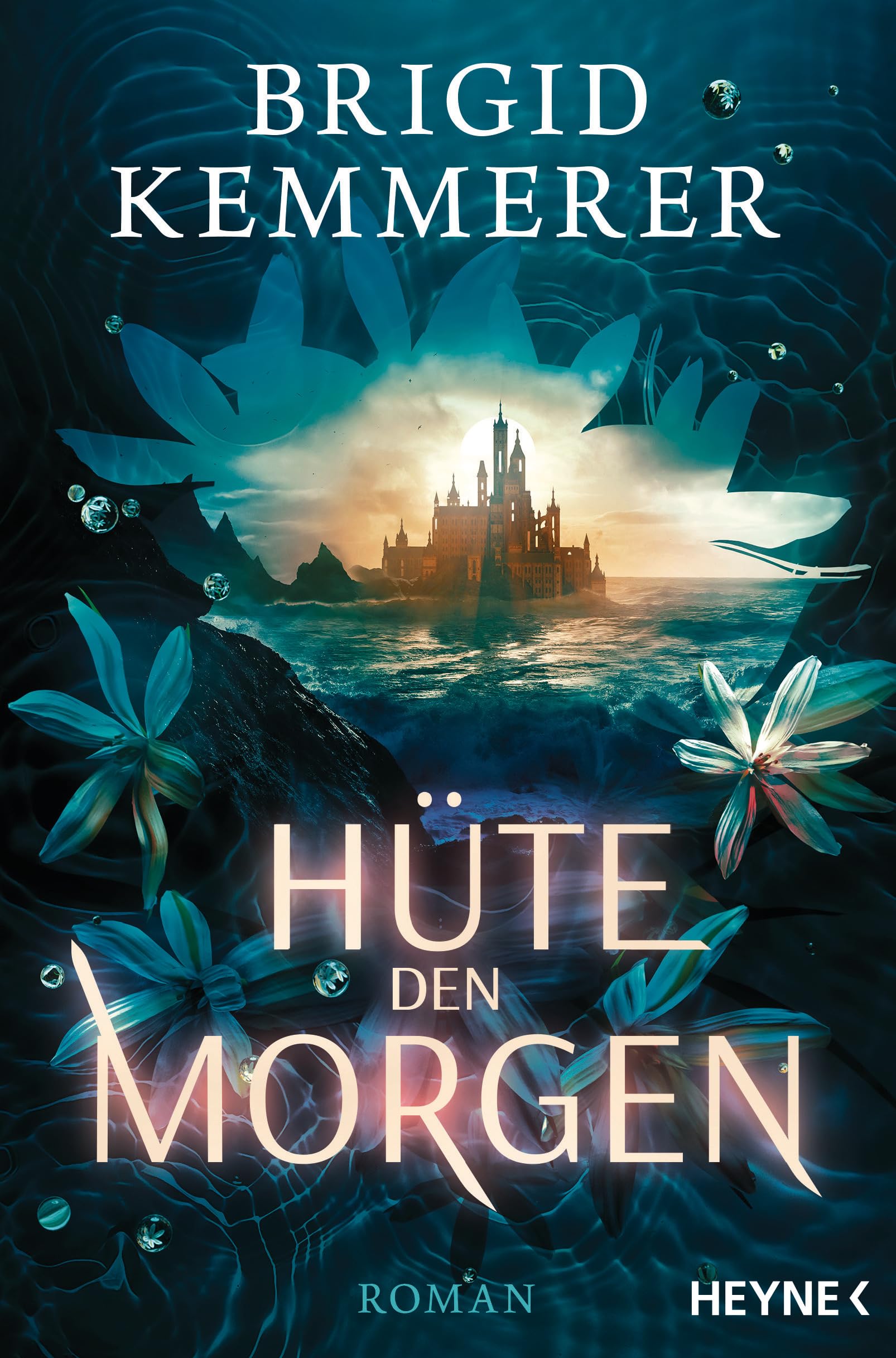 Hüte den Morgen Contemporary literature Books