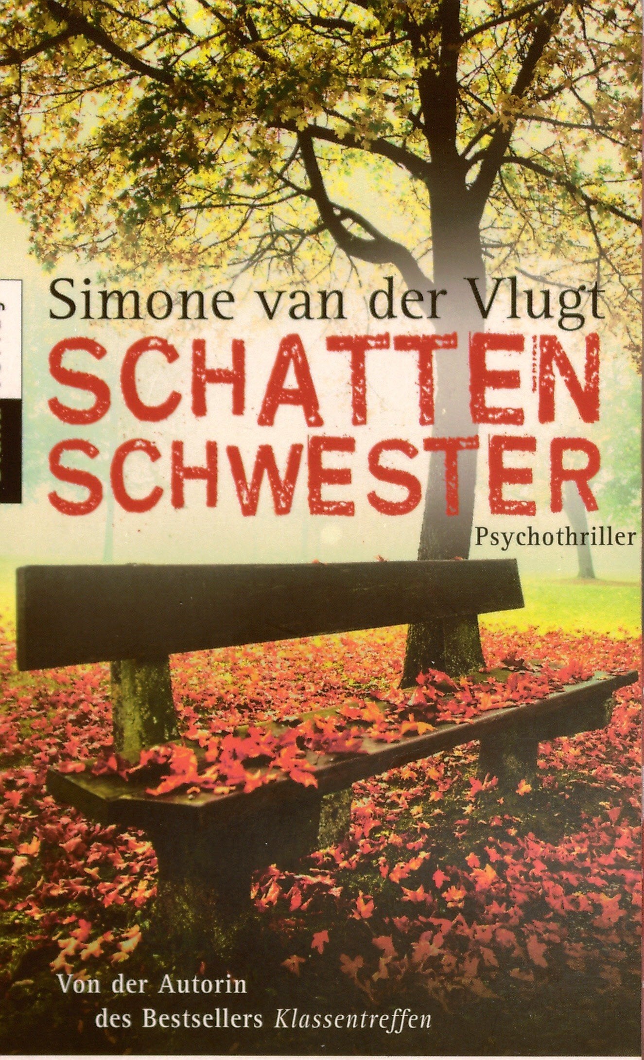 Schattenschwester Contemporary literature Books