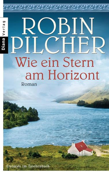 Wie ein Stern am Horizont Contemporary literature Books