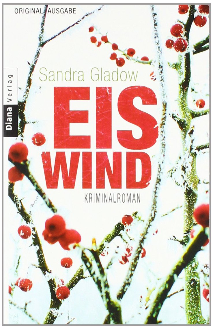 Eiswind Contemporary literature Books
