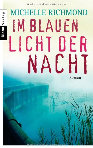 Im blauen Licht der Nacht: Roman Contemporary literature