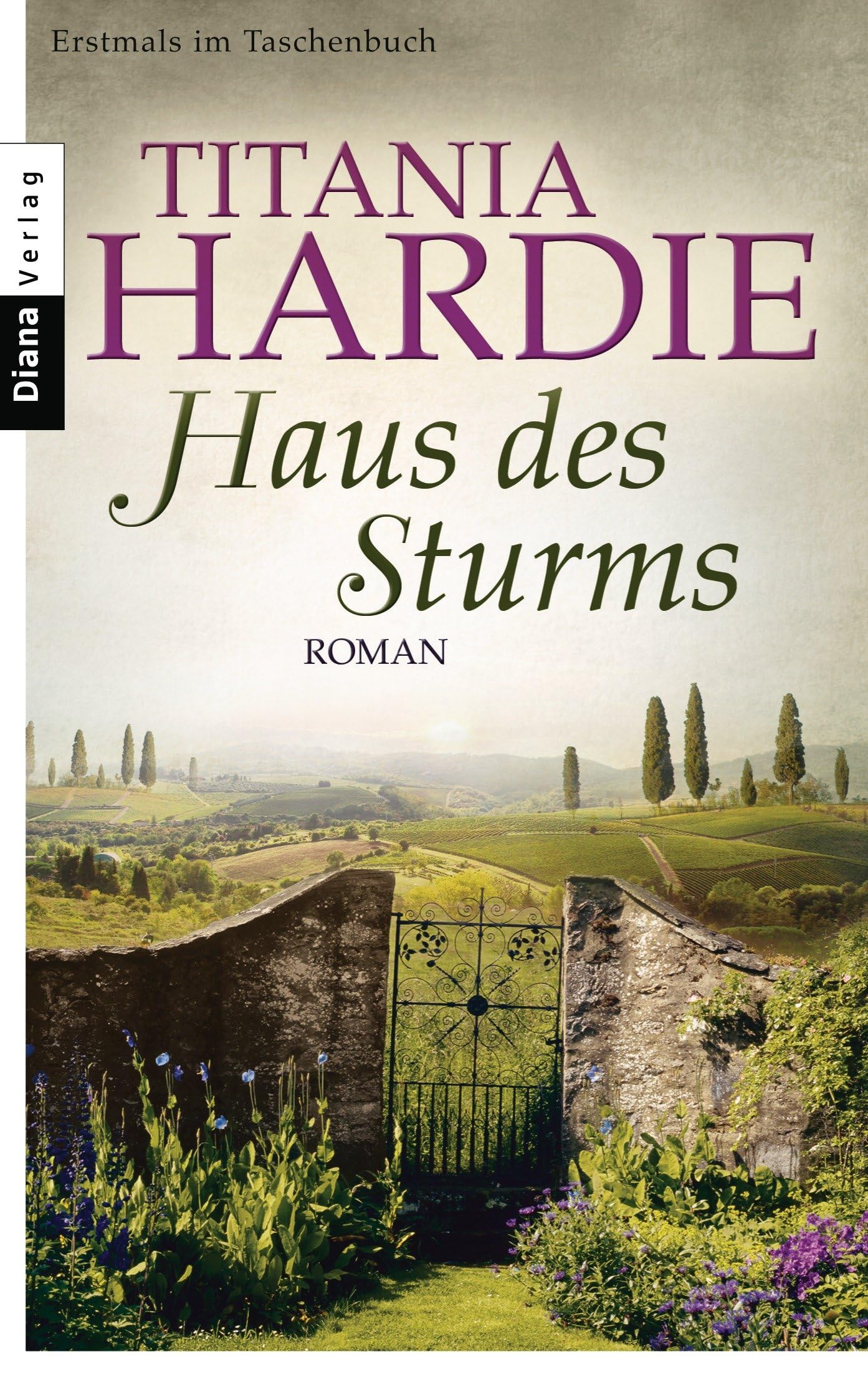 Haus des Sturms: Roman Contemporary literature