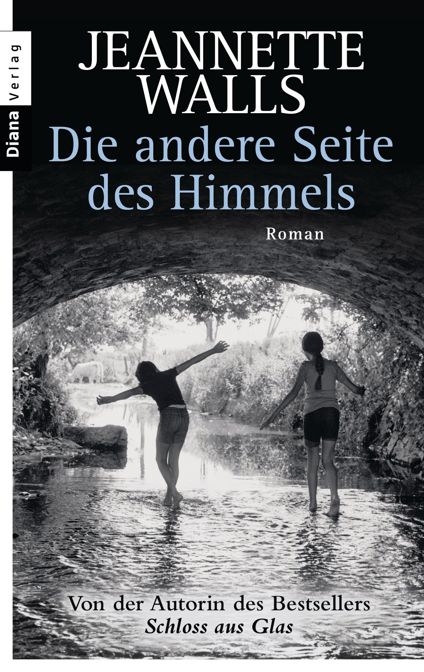 Die andere Seite des Himmels Contemporary literature