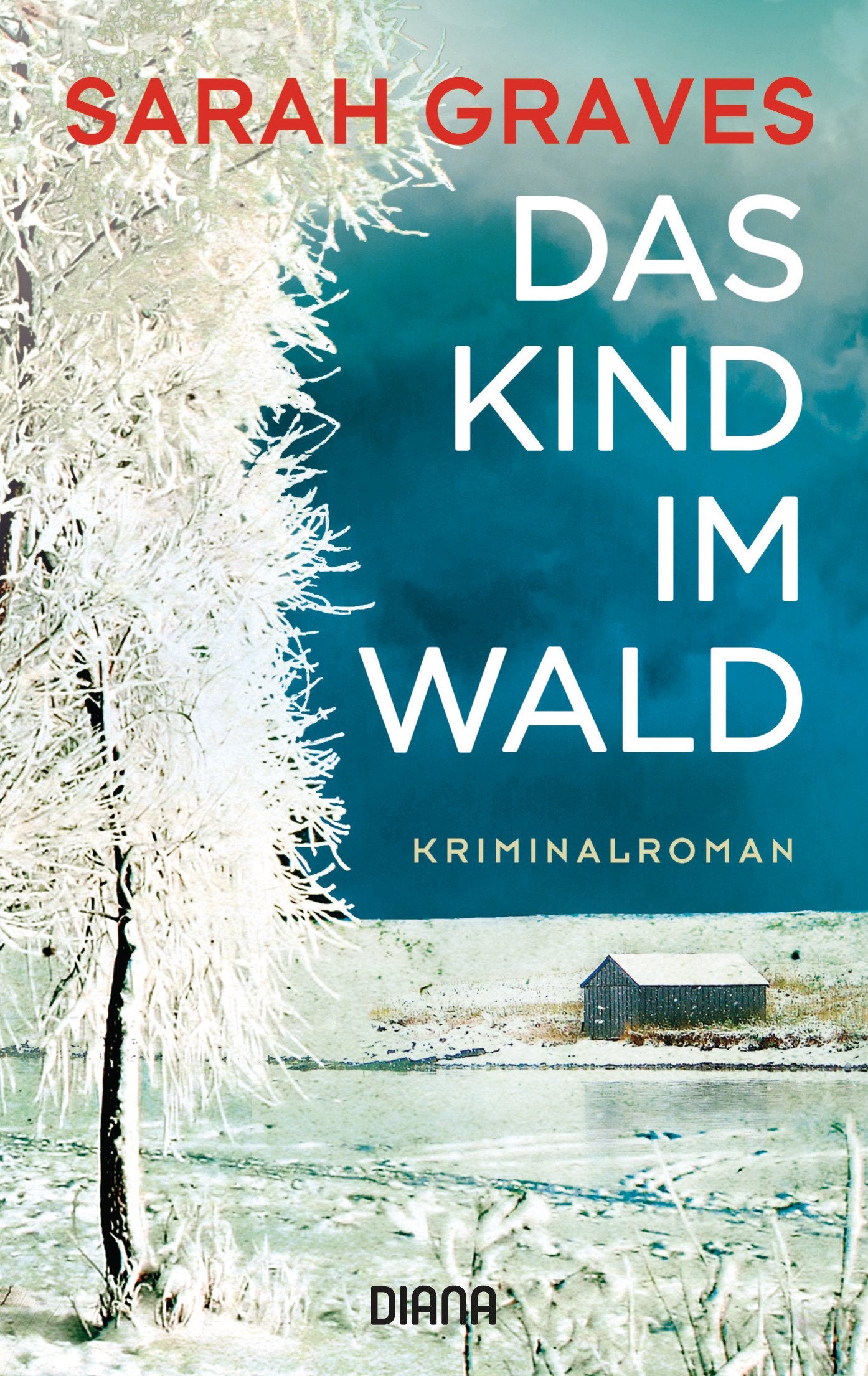 Das Kind im Wald Contemporary literature Books