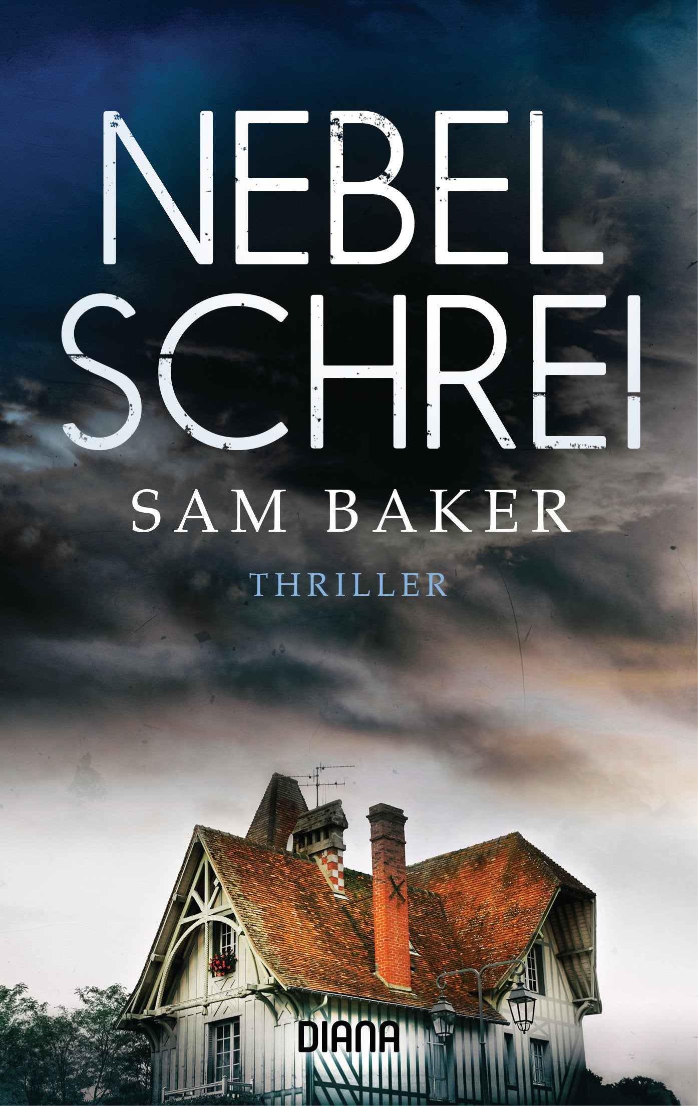 Nebelschrei: Thriller Contemporary literature Books