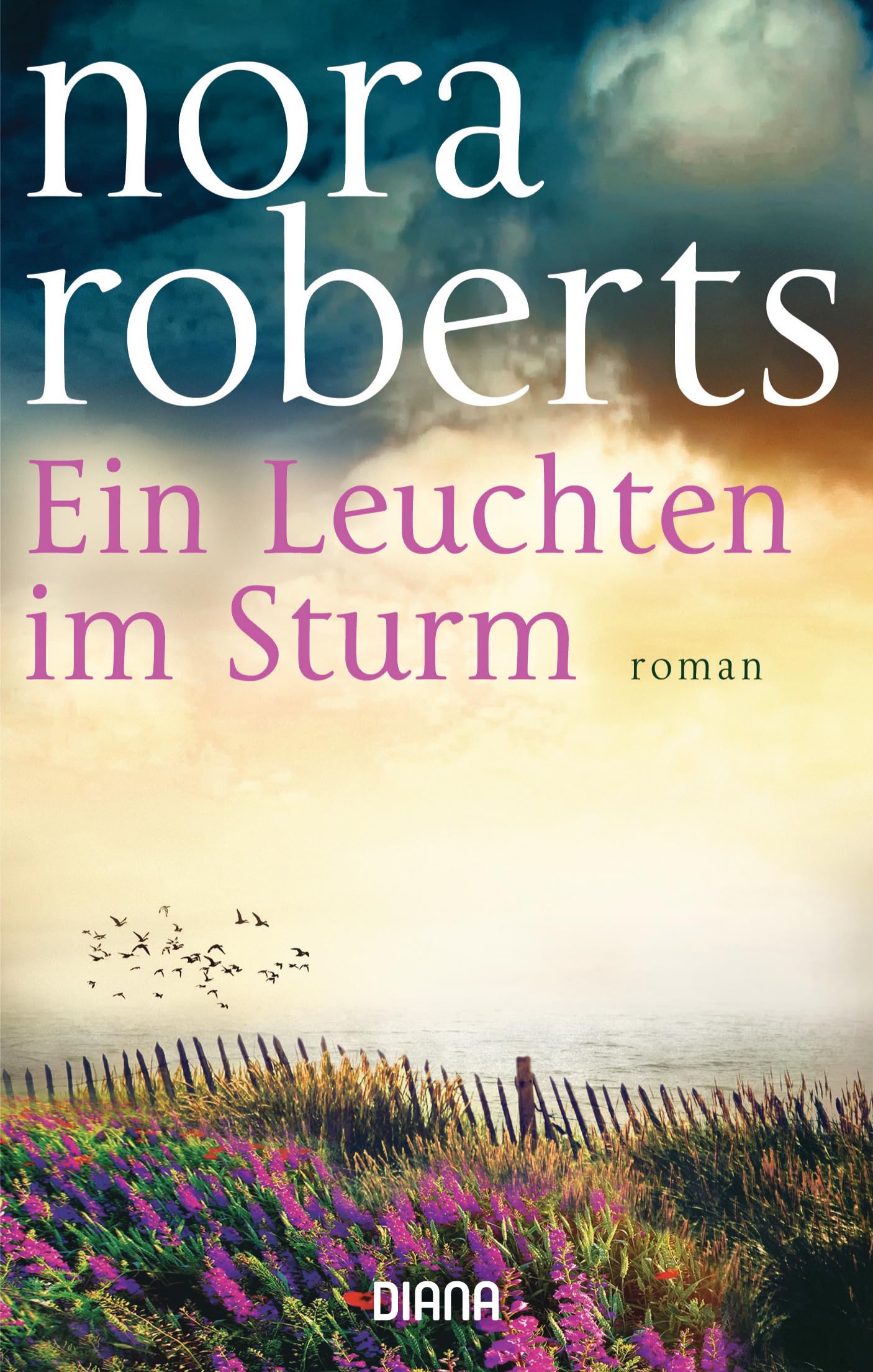 Ein Leuchten im Sturm Contemporary literature Books