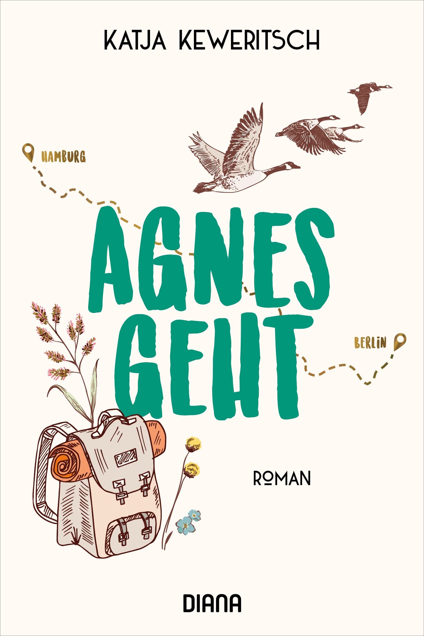 Agnes geht Contemporary literature Books