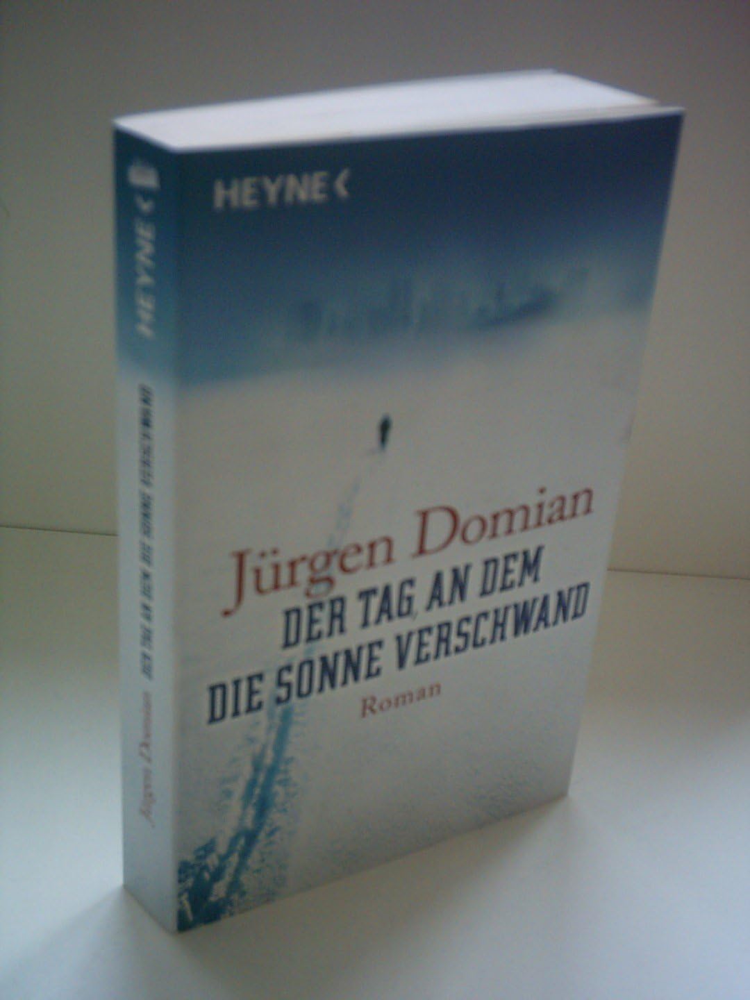 Der Tag, an dem die Sonne verschwand Contemporary literature