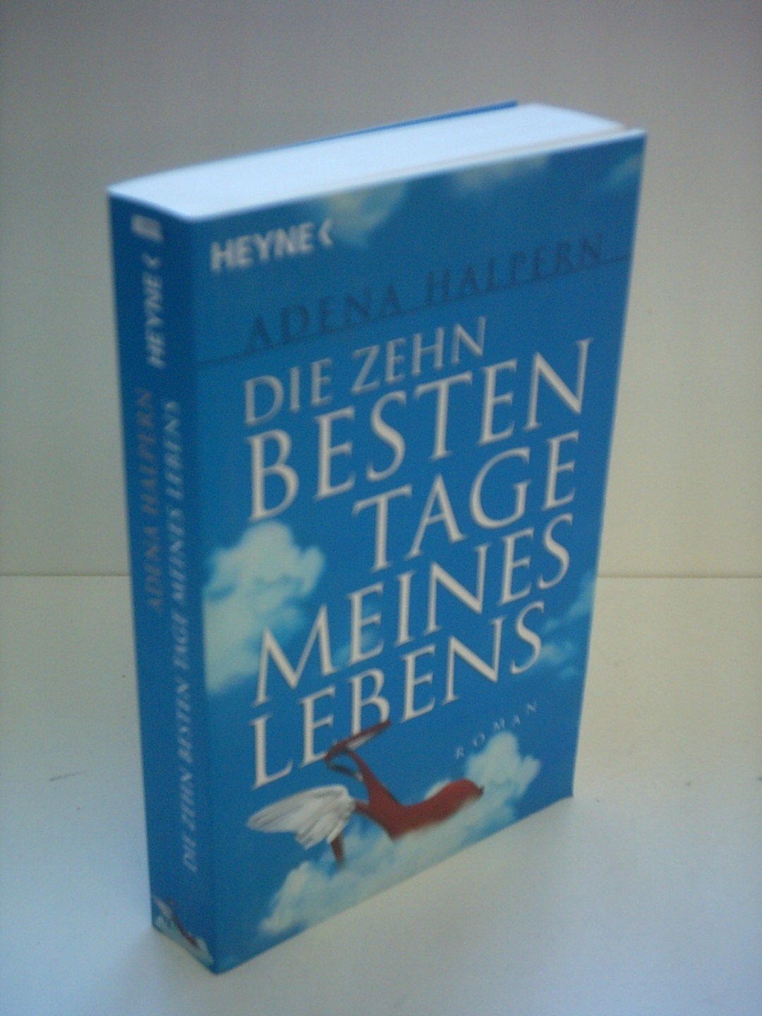 Die zehn besten Tage meines Lebens Contemporary literature