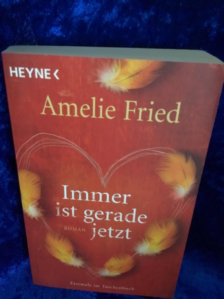 Immer ist gerade jetzt Contemporary literature Books