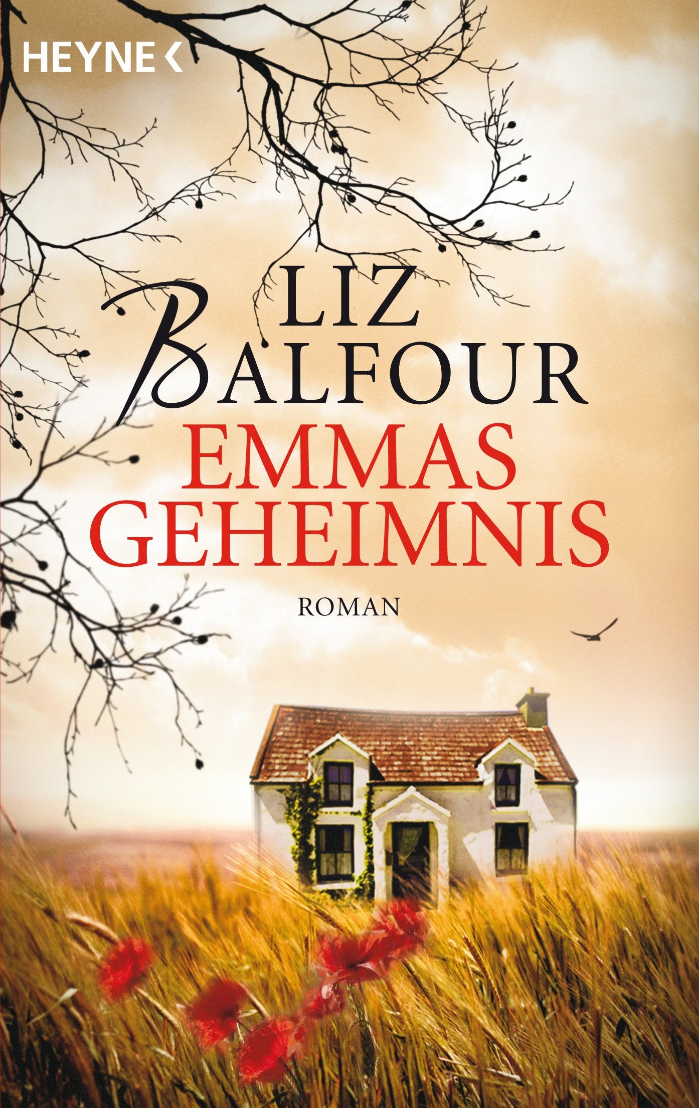 Emmas Geheimnis Contemporary literature