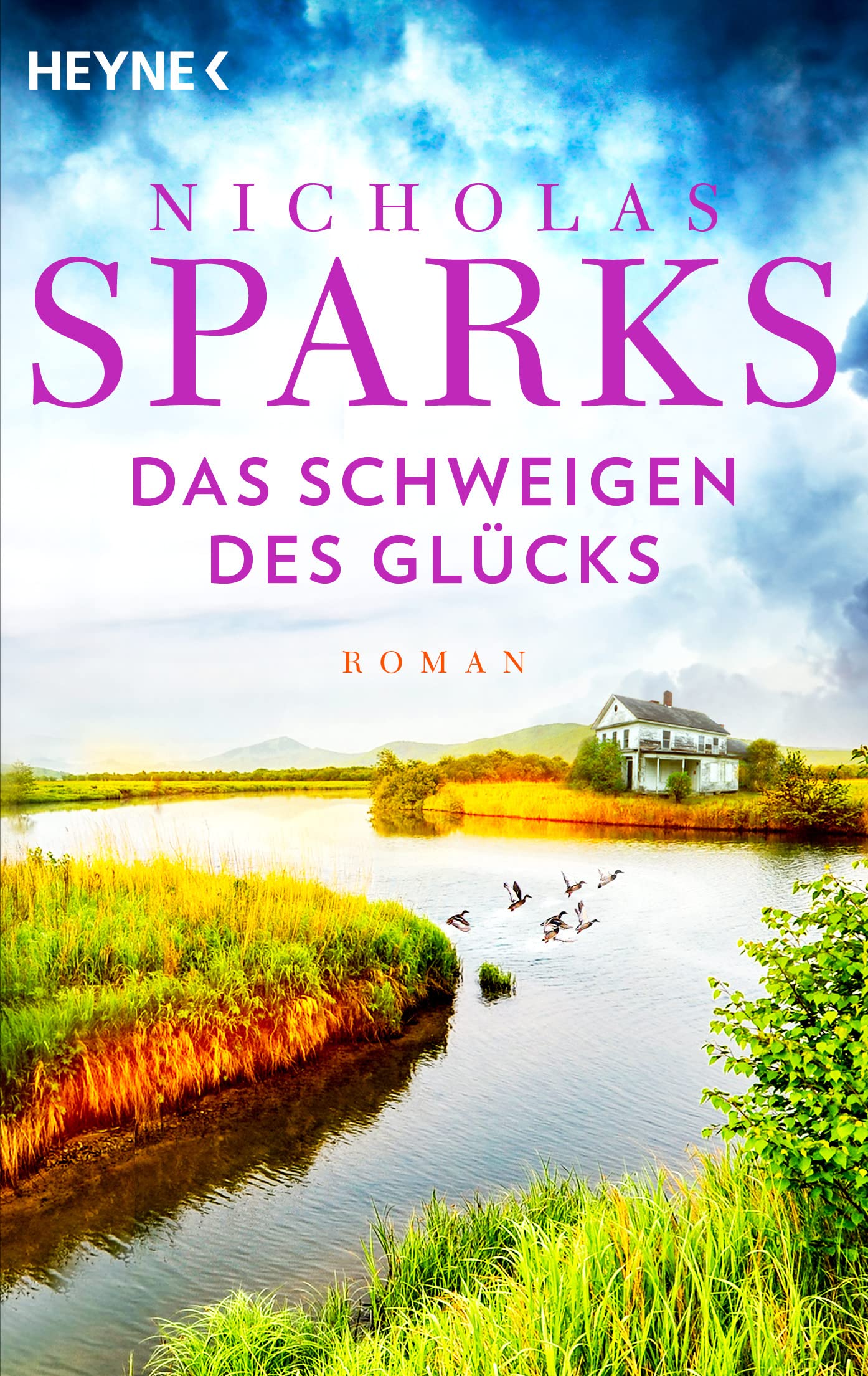Das Schweigen des Glücks Contemporary literature Books