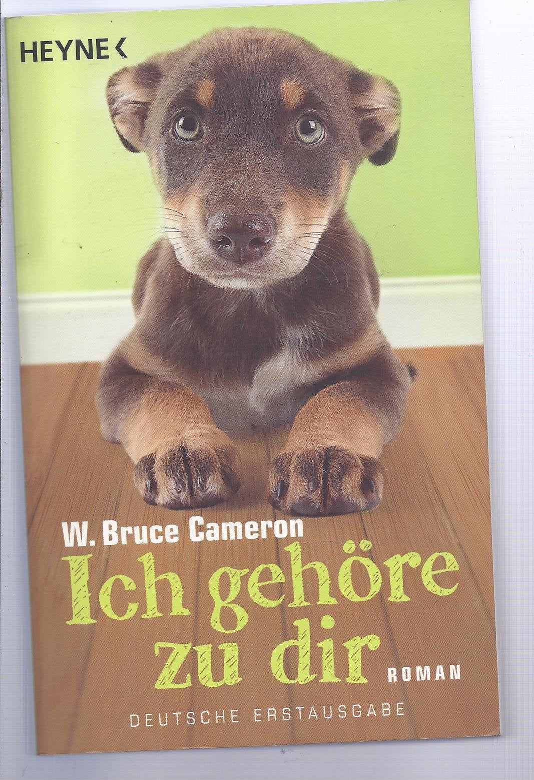 Product Image: Ich gehöre zu dir