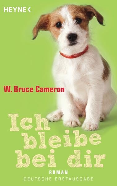 Ich bleibe bei dir Contemporary literature Books