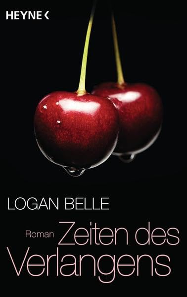 Zeiten des Verlangens: Roman Contemporary literature