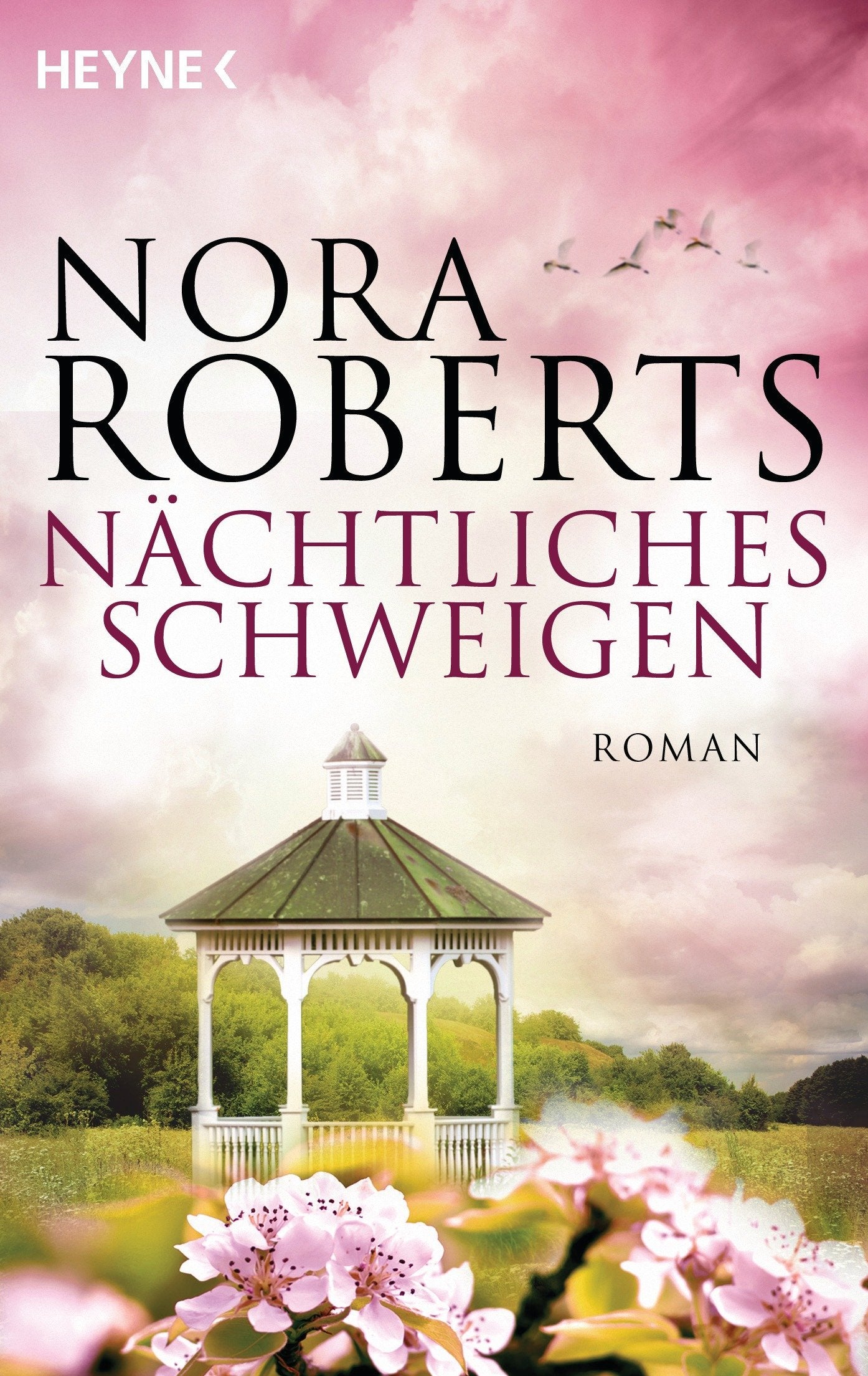 Product Image: Nächtliches Schweigen