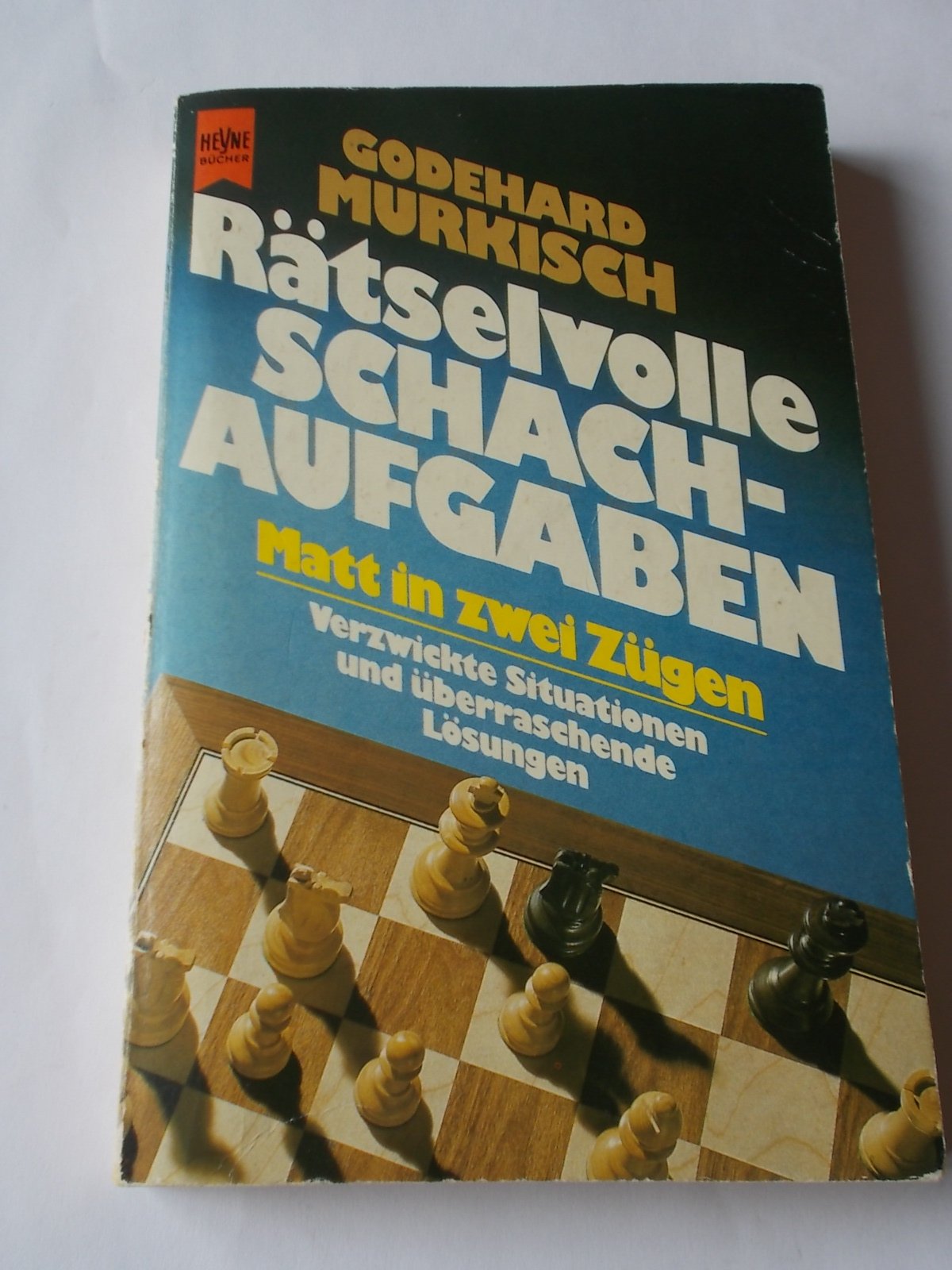 Rätselvolle Schachaufgaben. Verzwickte Positionen und überraschende Lösungen. Leisure & Fun