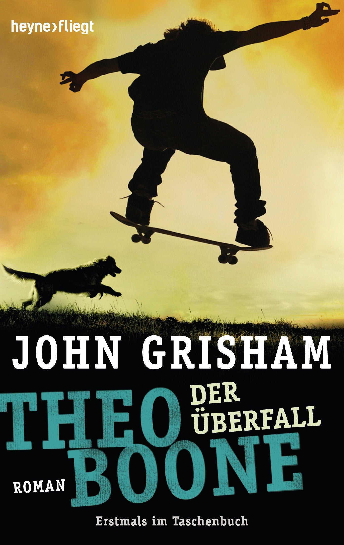 Theo Boone 04 - Der Überfall Fiction books for children