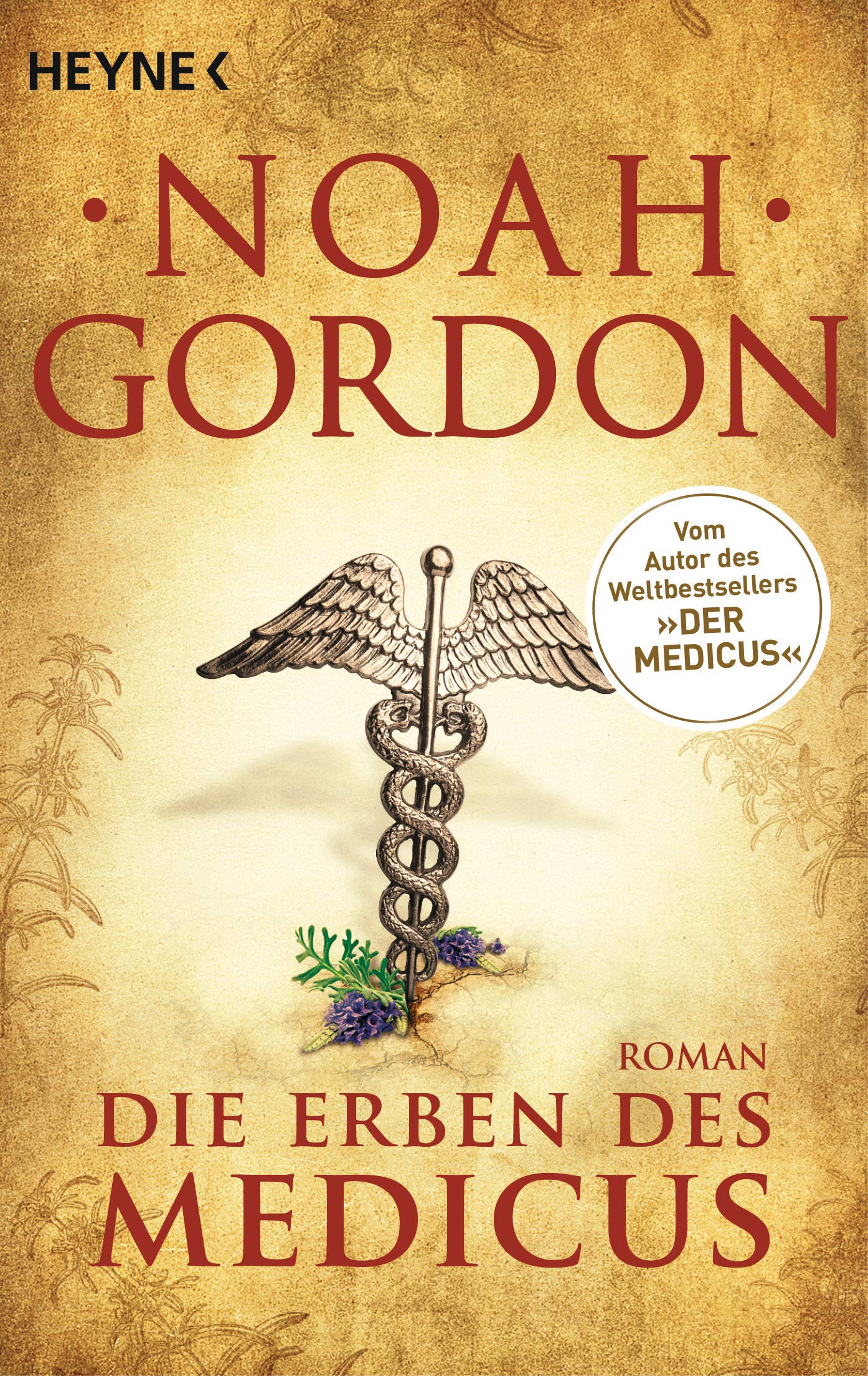 Die Erben des Medicus Contemporary literature Books