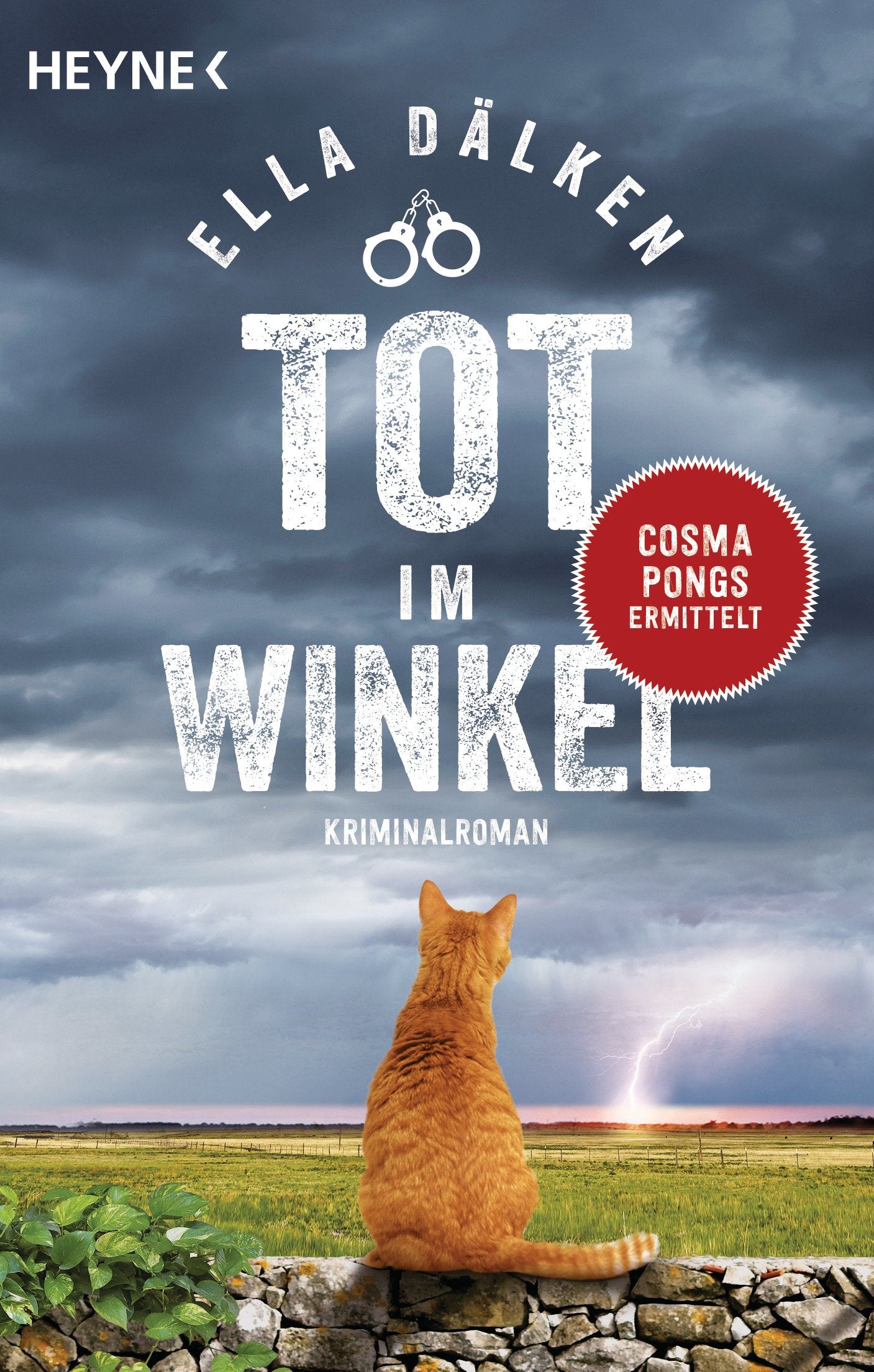 Tot im Winkel Contemporary literature Books