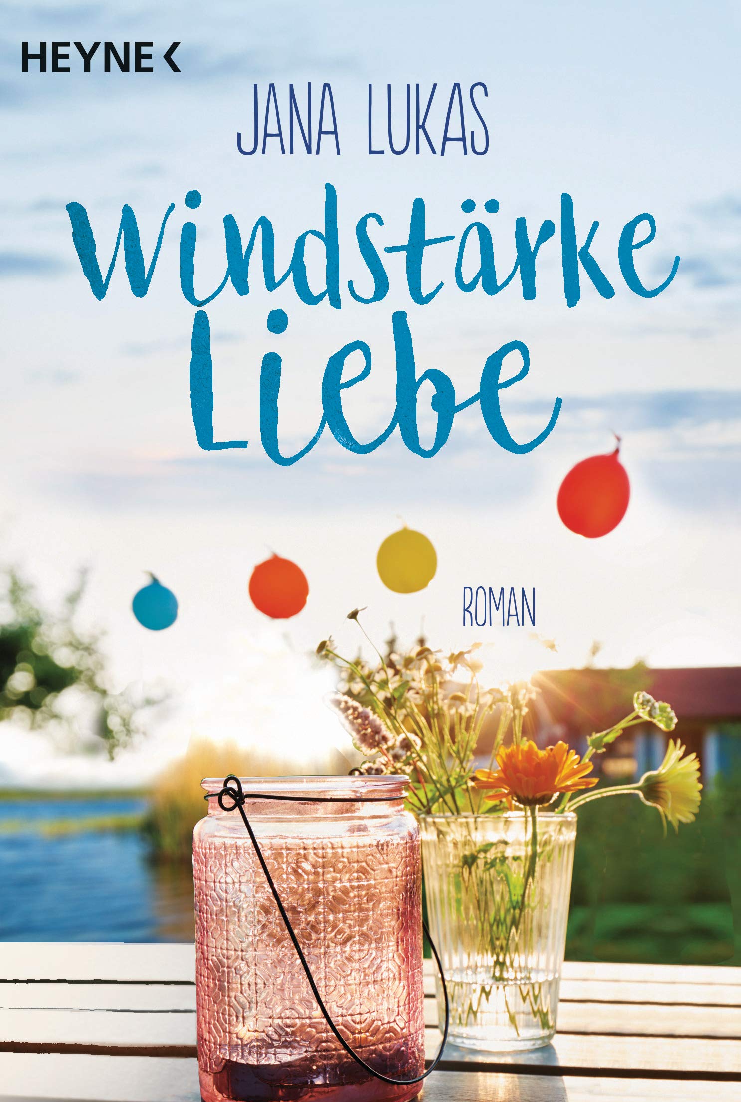 Windstärke Liebe Contemporary literature Books