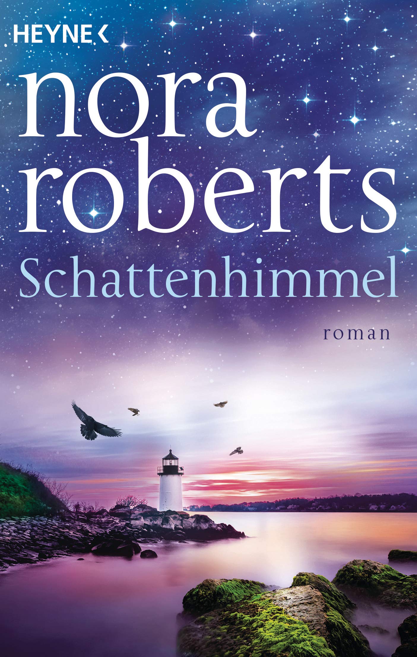 Schattenhimmel Contemporary literature Books