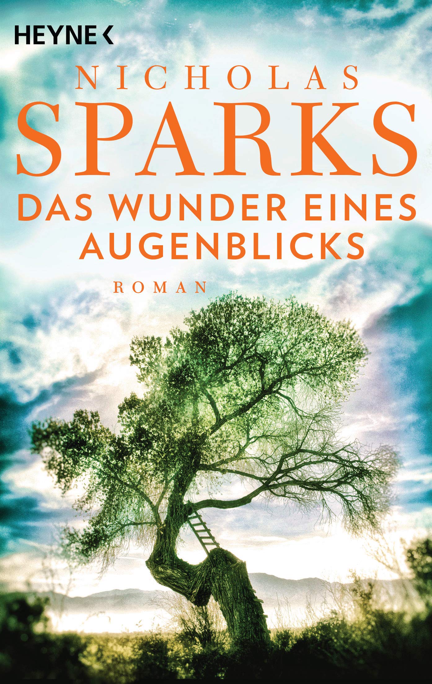 Das Wunder eines Augenblicks Contemporary literature Books