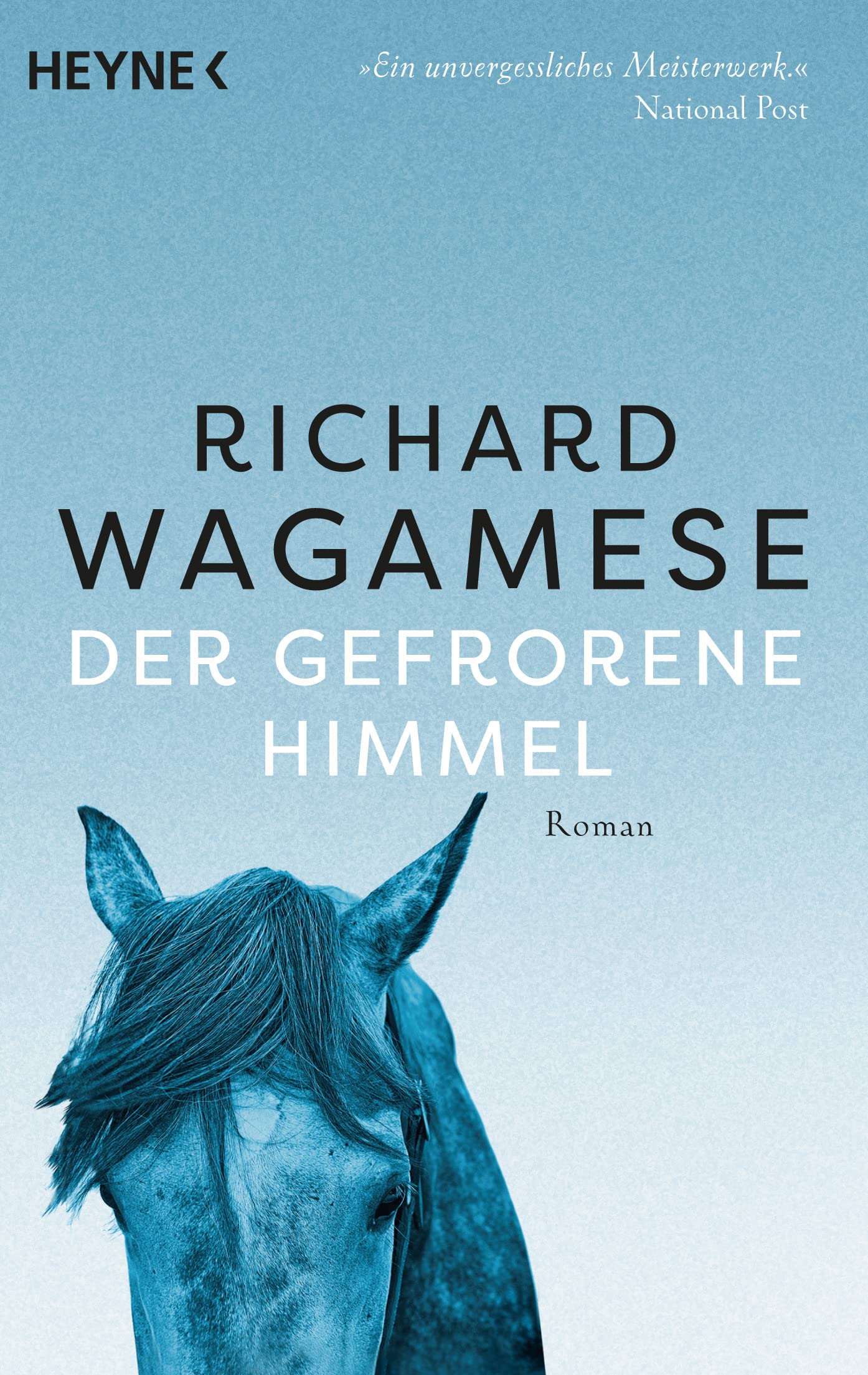 Der gefrorene Himmel Contemporary literature Books