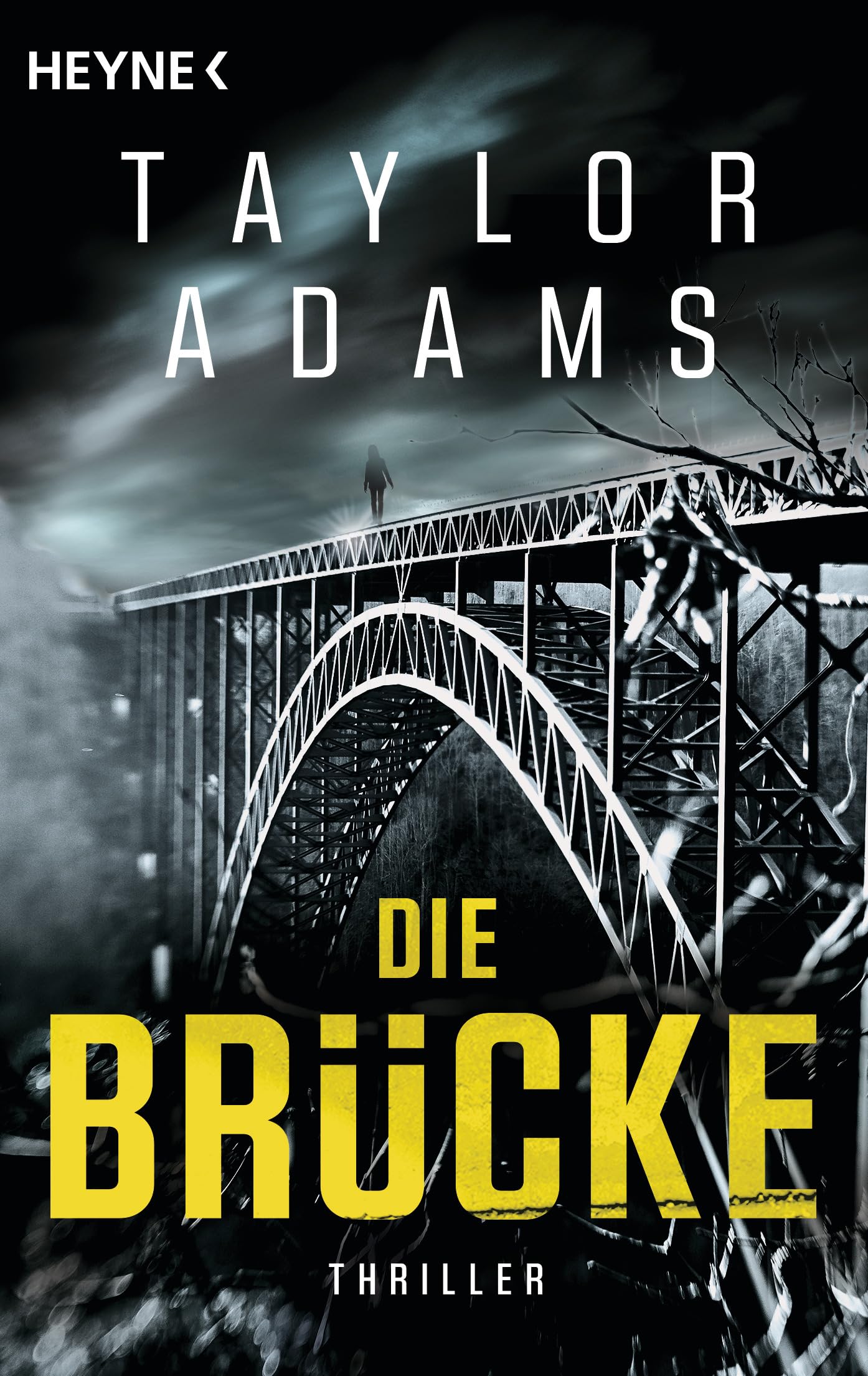 Die Brücke Contemporary literature Books