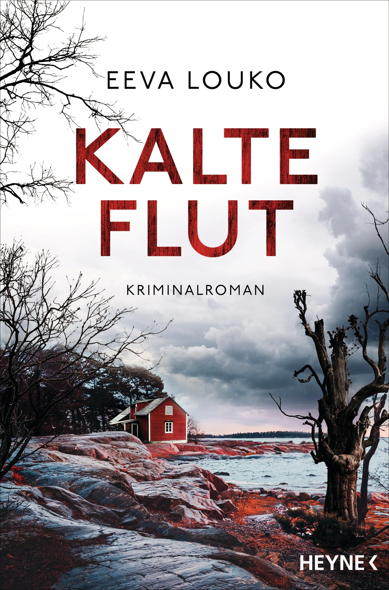 Kalte Flut Contemporary literature Books