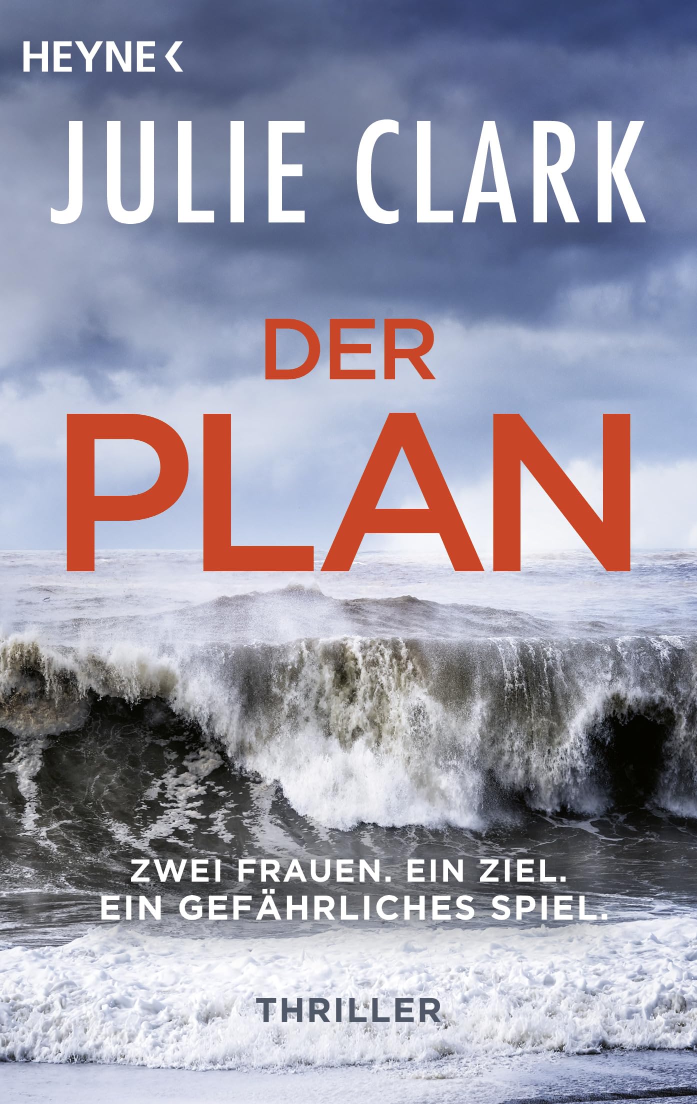 Der Plan - Zwei Frauen. Ein Ziel. Ein gefährliches Spiel. Contemporary literature