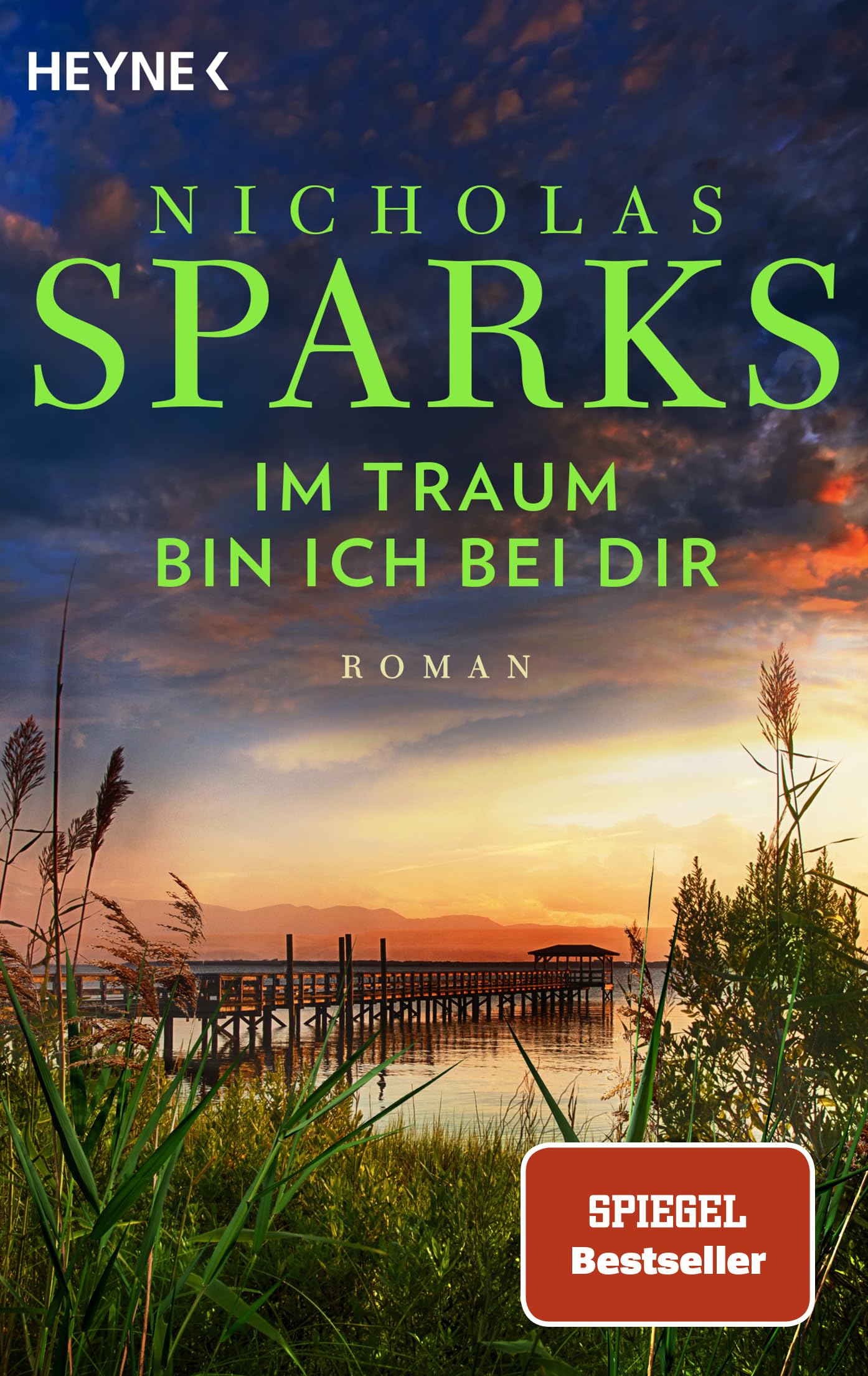 Im Traum bin ich bei dir Contemporary literature Books