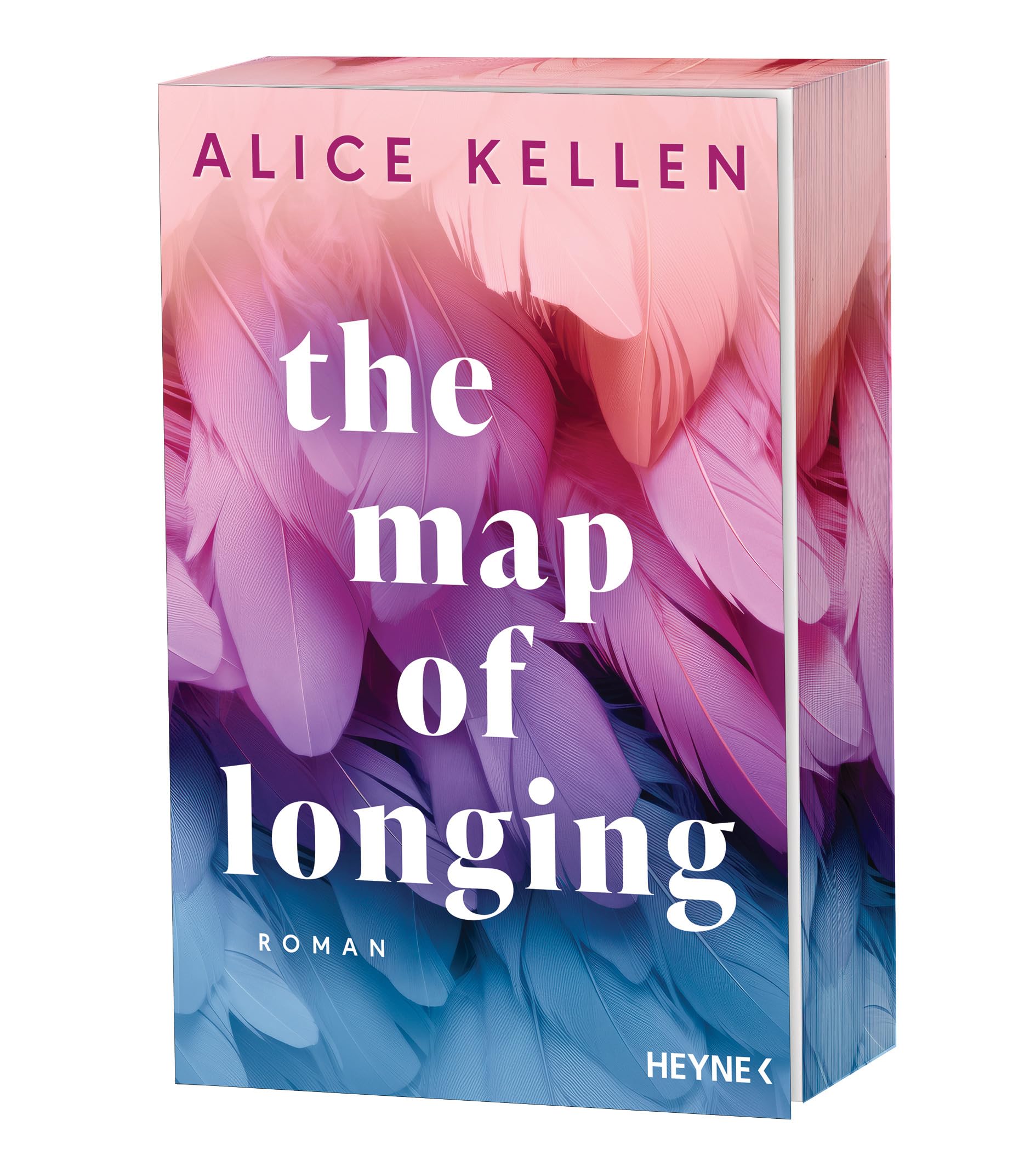 The Map of Longing Contemporary literature Books