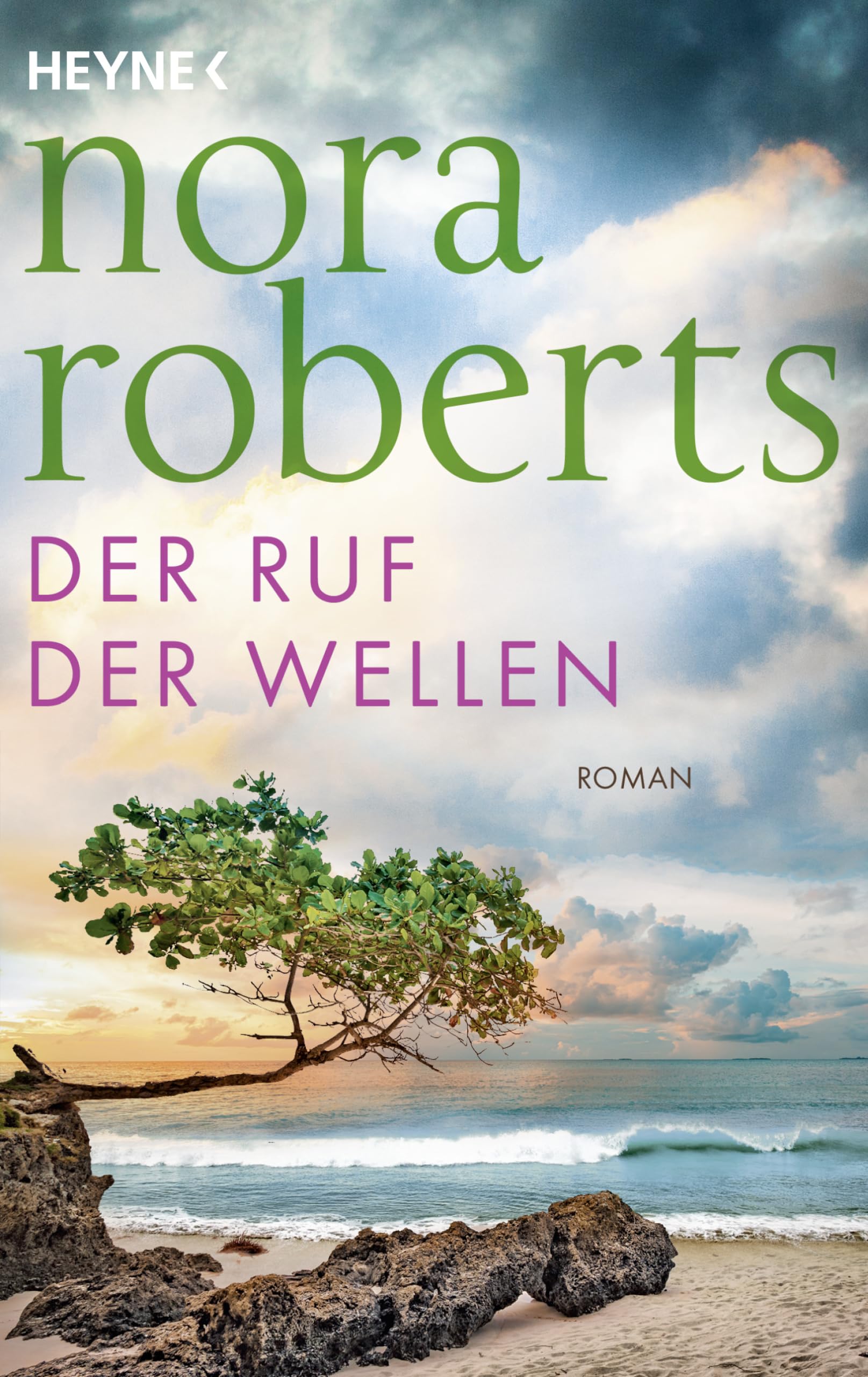 Der Ruf der Wellen Contemporary literature Books
