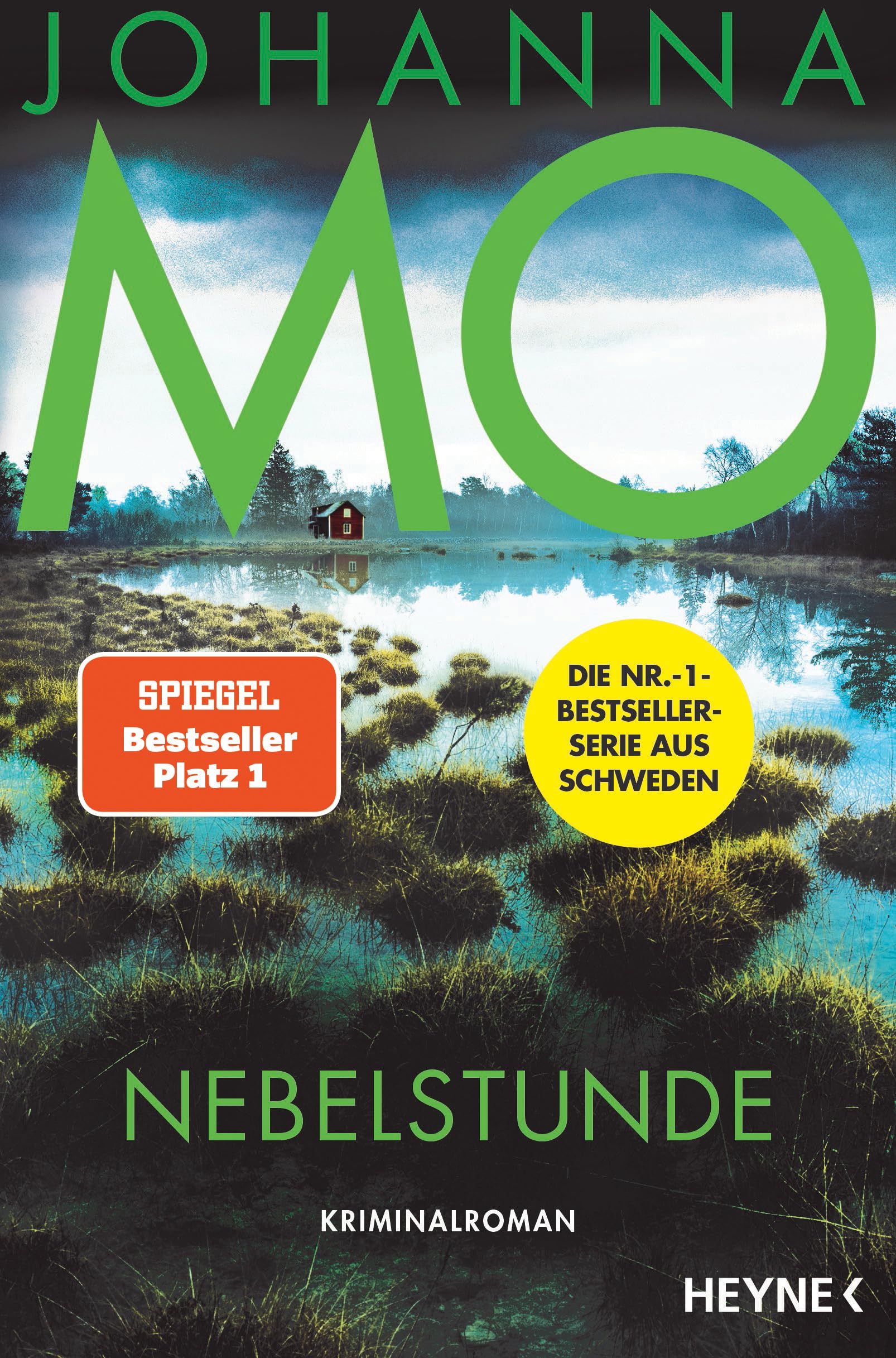 Nebelstunde Contemporary literature Books