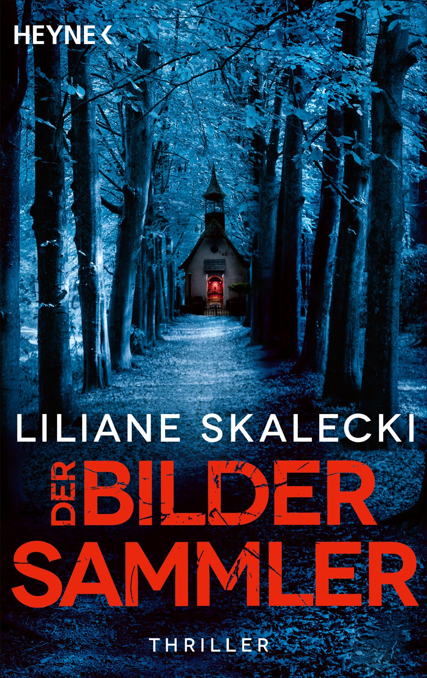 Der Bildersammler Contemporary literature