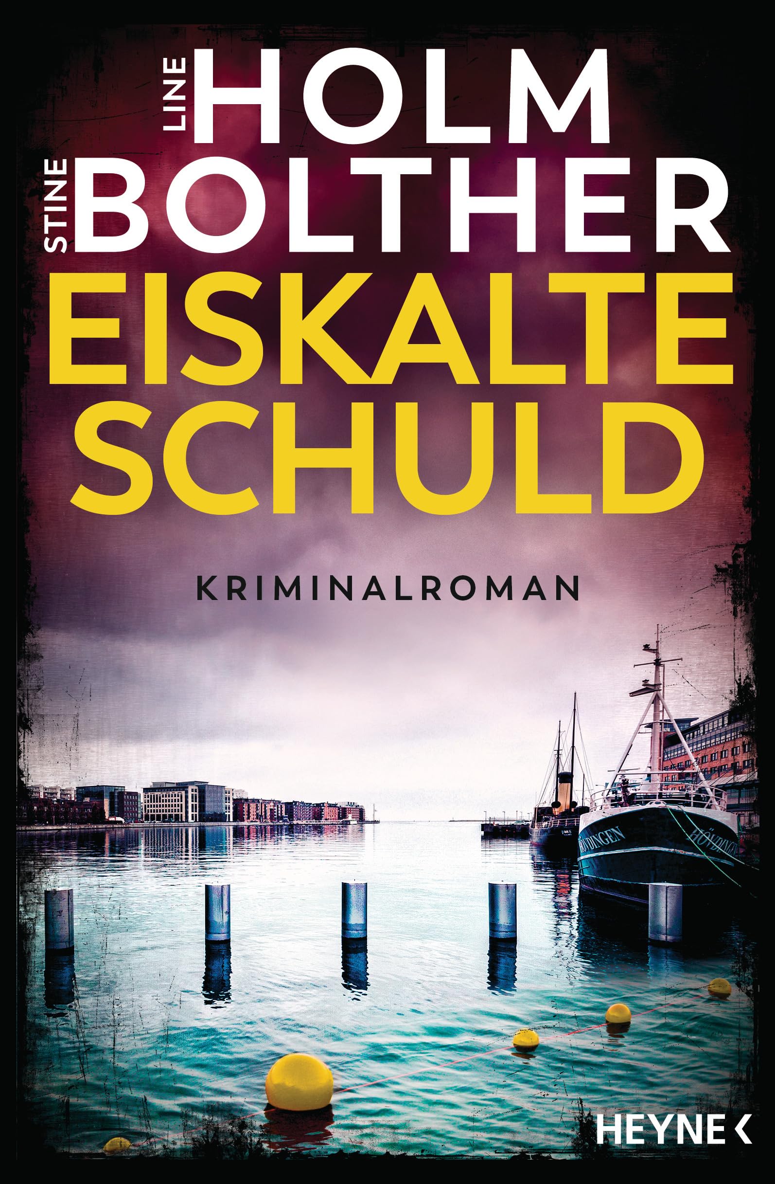 Eiskalte Schuld Contemporary literature
